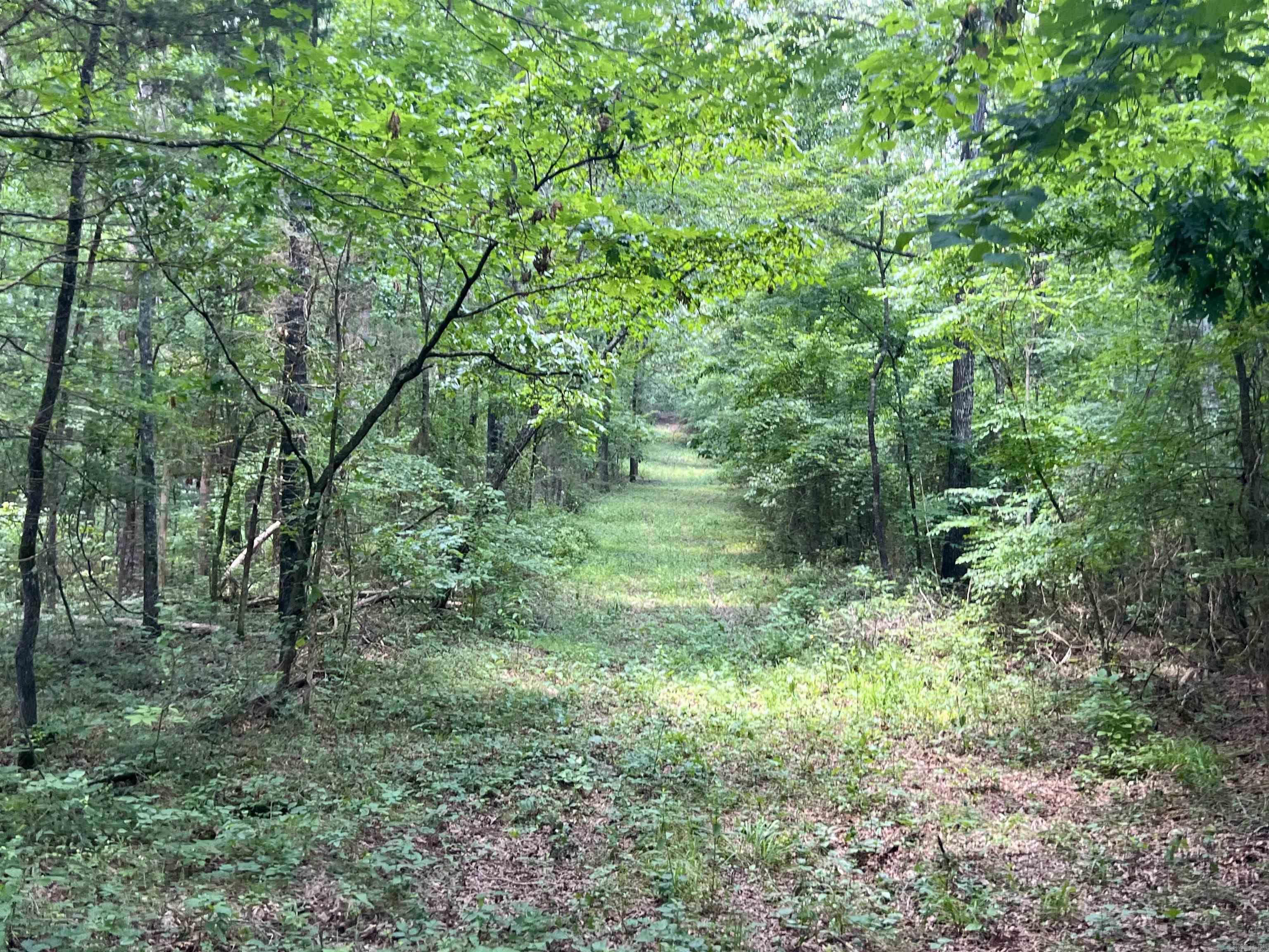 255 Carmichael Rd. Searcy, AR 72143-0000