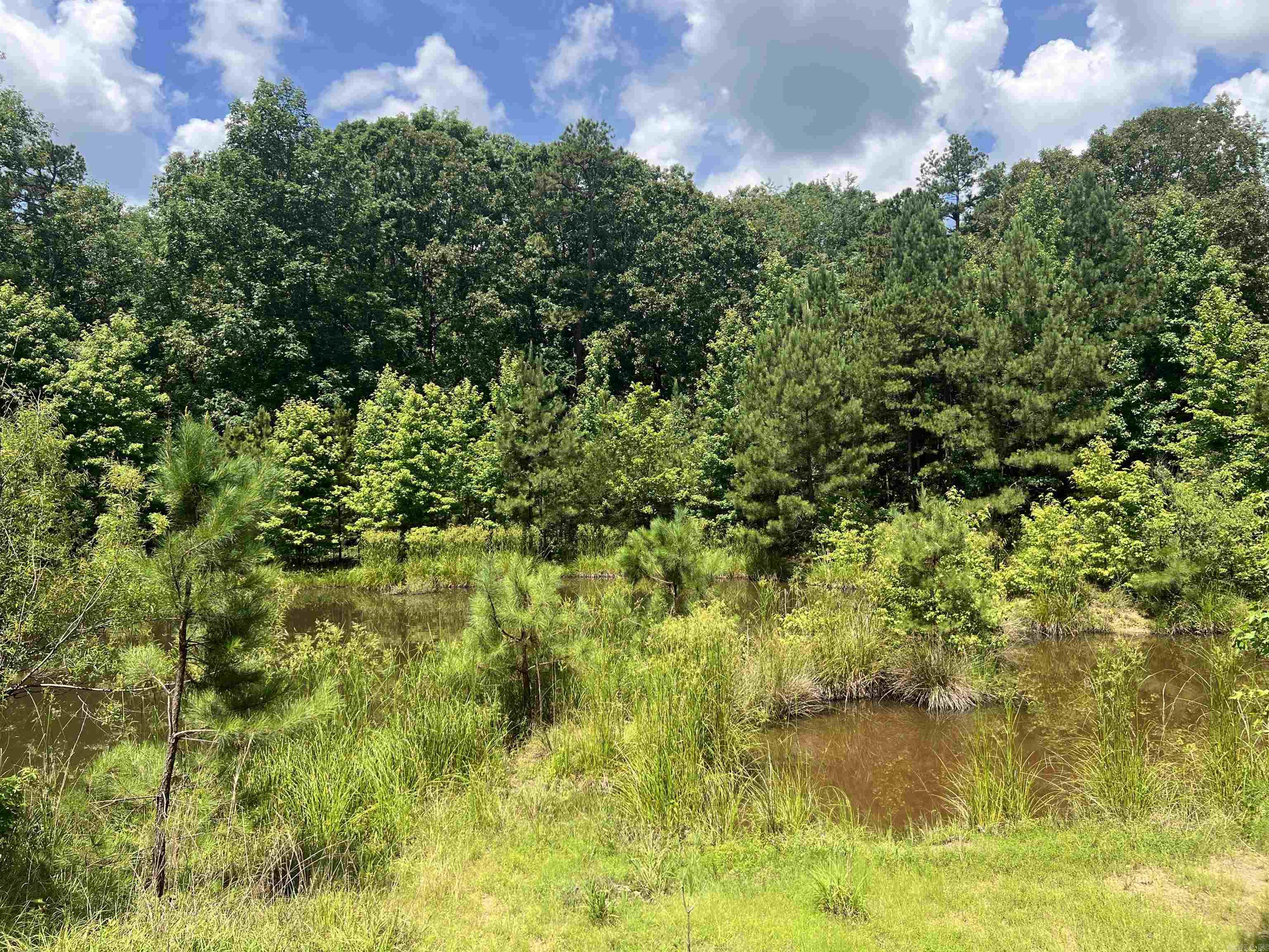 255 Carmichael Rd. Searcy, AR 72143-0000