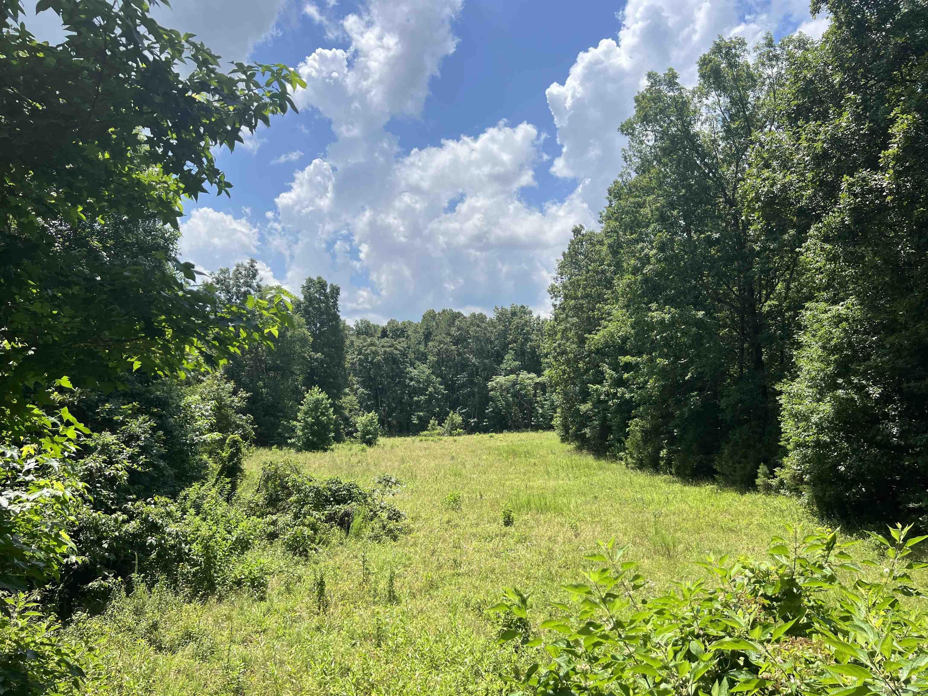 255 Carmichael Rd. Searcy, AR 72143-0000
