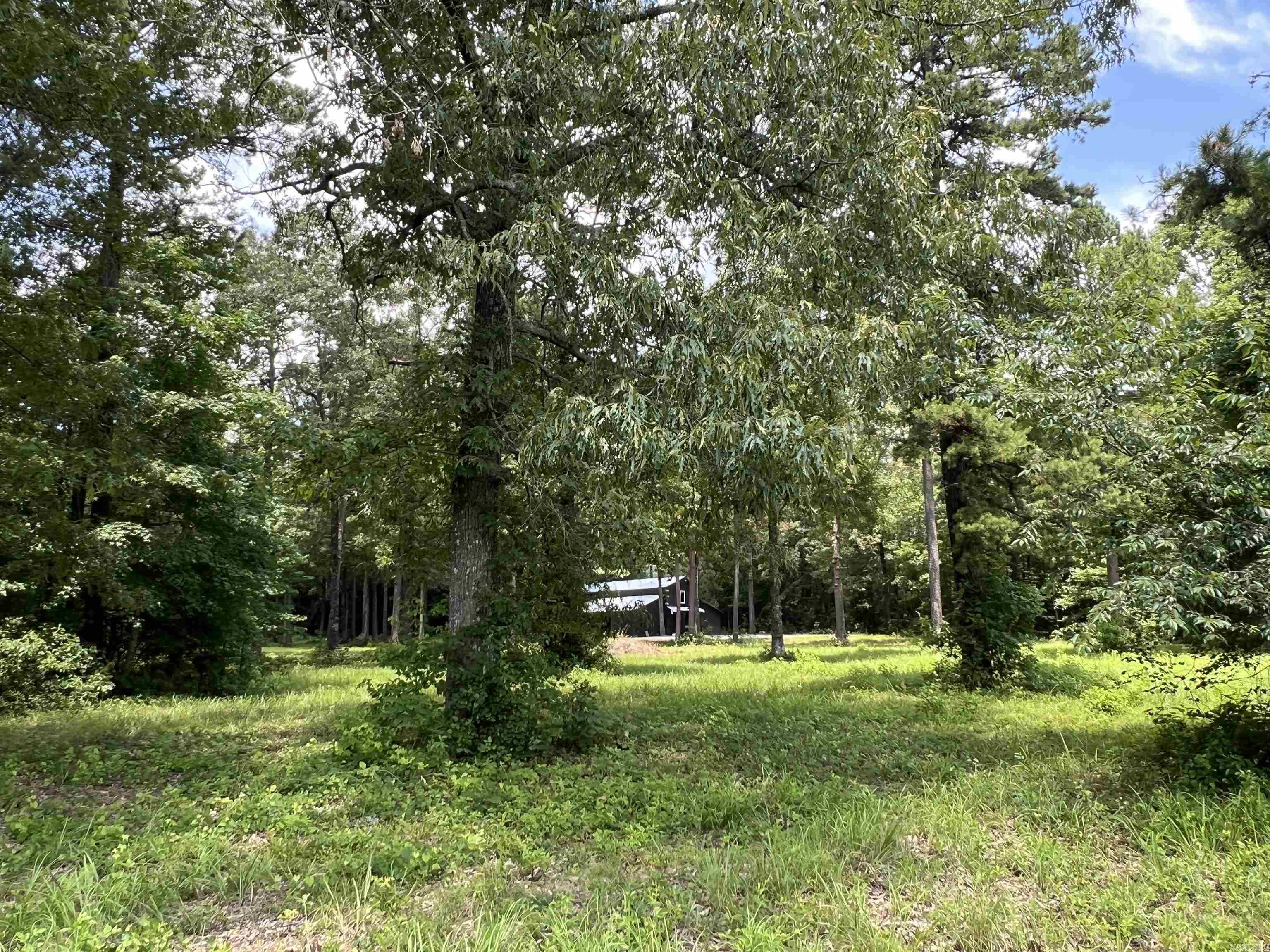 255 Carmichael Rd. Searcy, AR 72143-0000