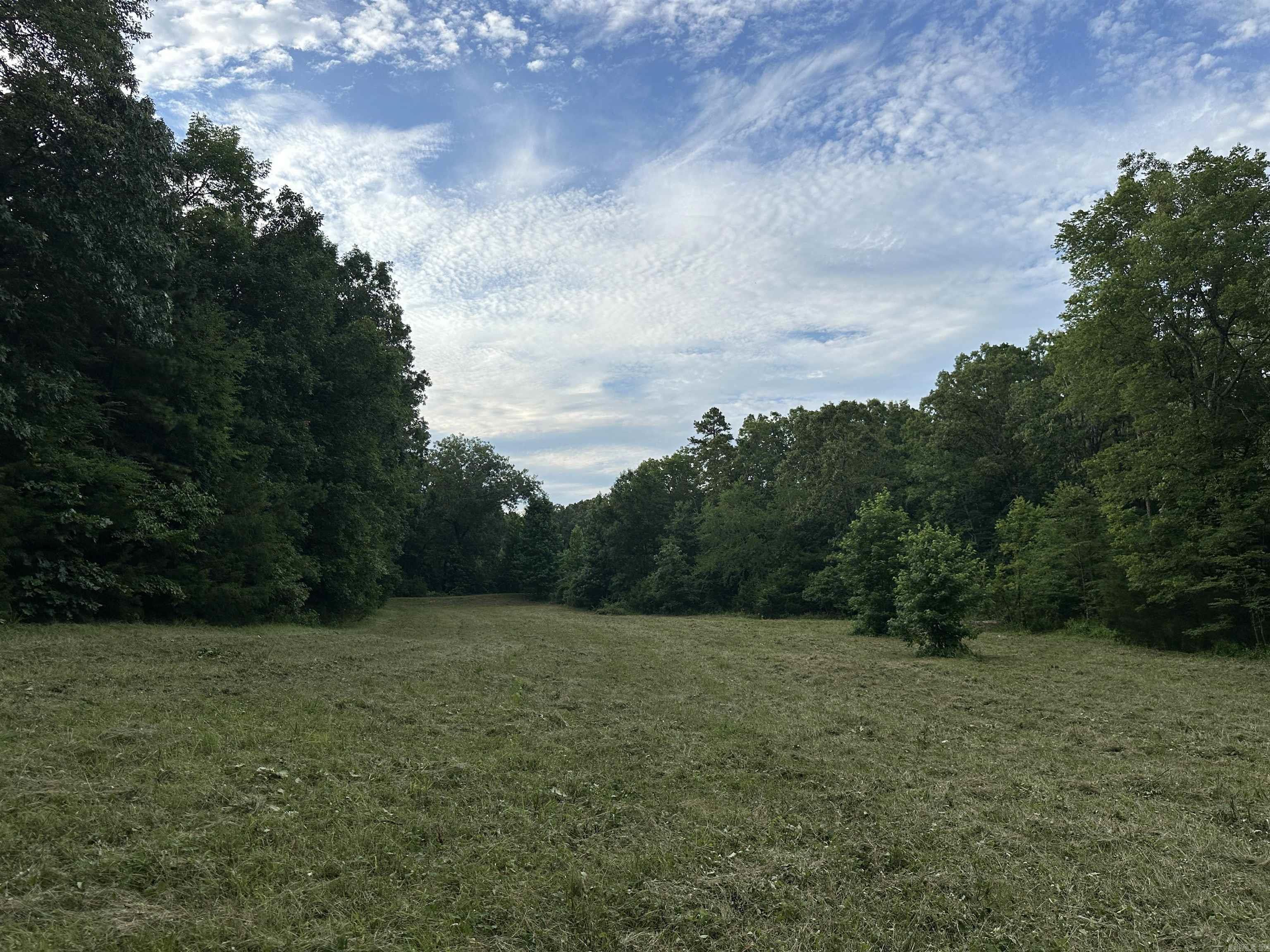 255 Carmichael Rd. Searcy, AR 72143-0000