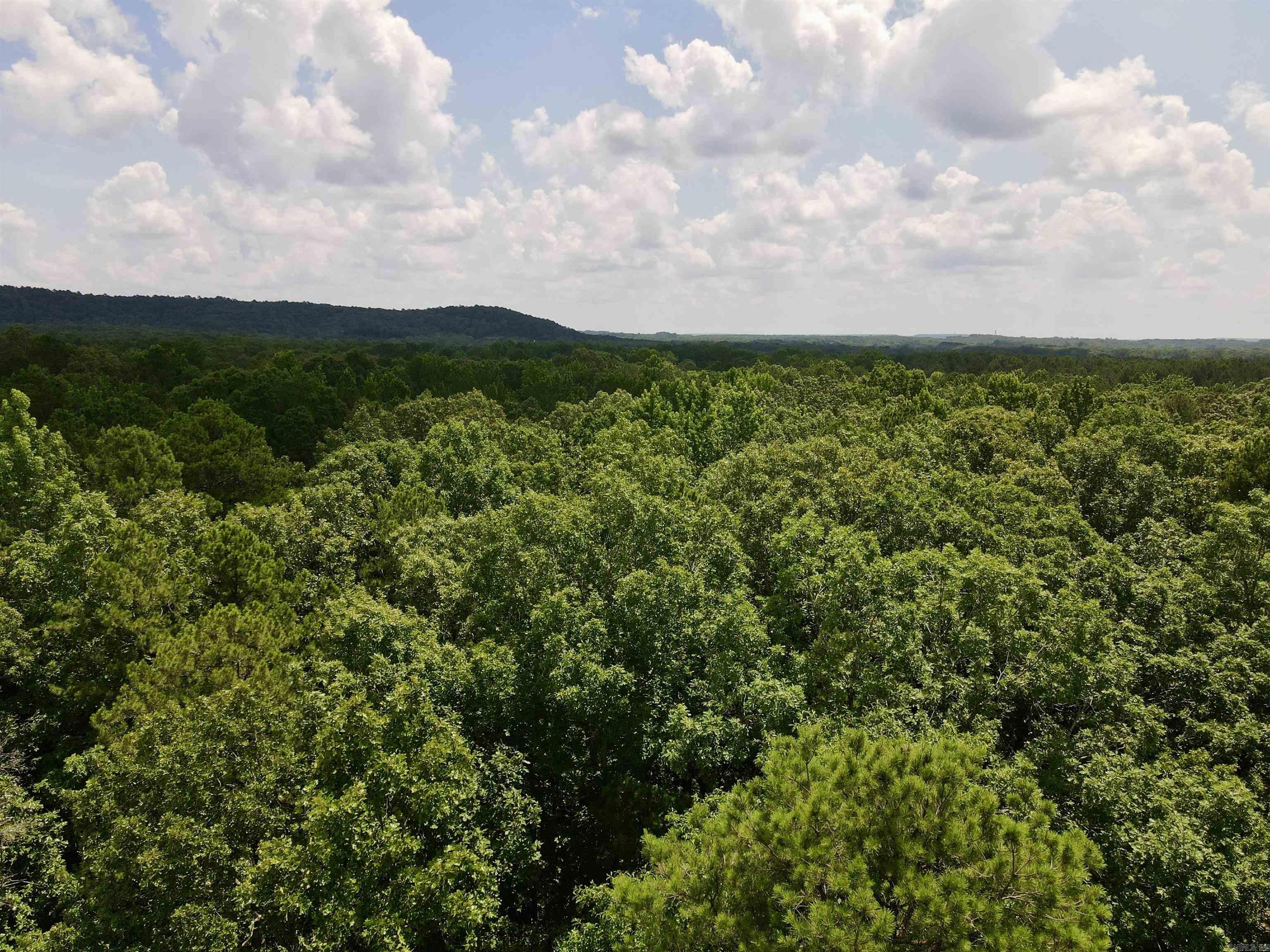 255 Carmichael Rd. Searcy, AR 72143-0000