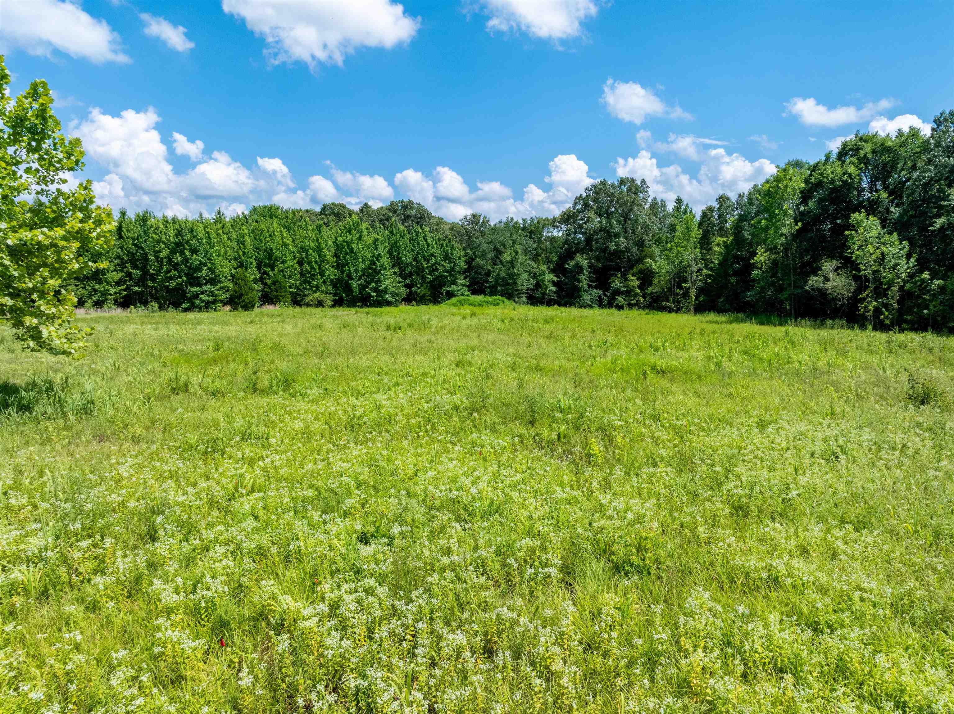 71 W Kinzer  Searcy, AR