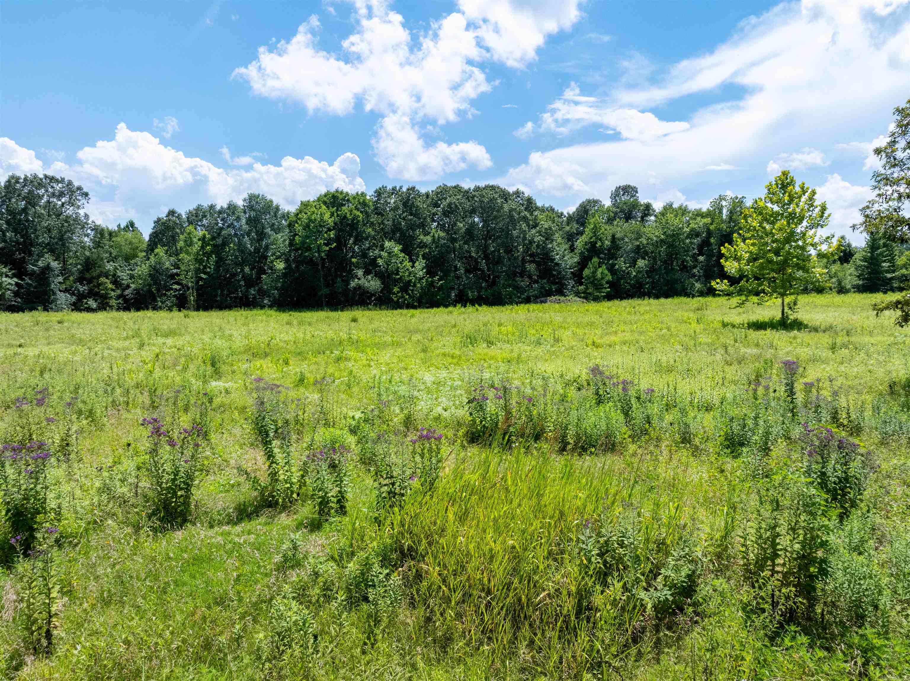 71 W Kinzer  Searcy, AR