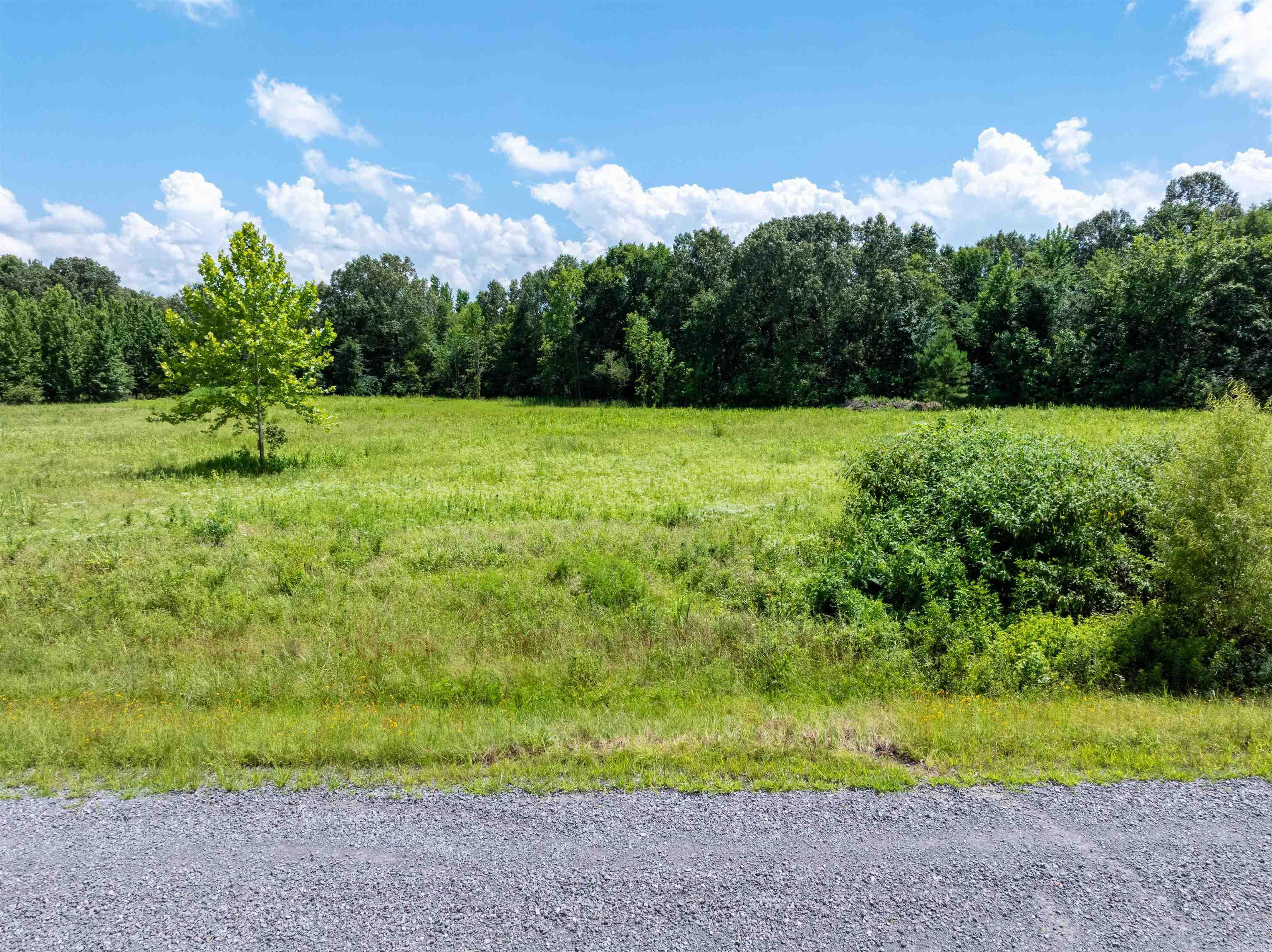 71 W Kinzer  Searcy, AR