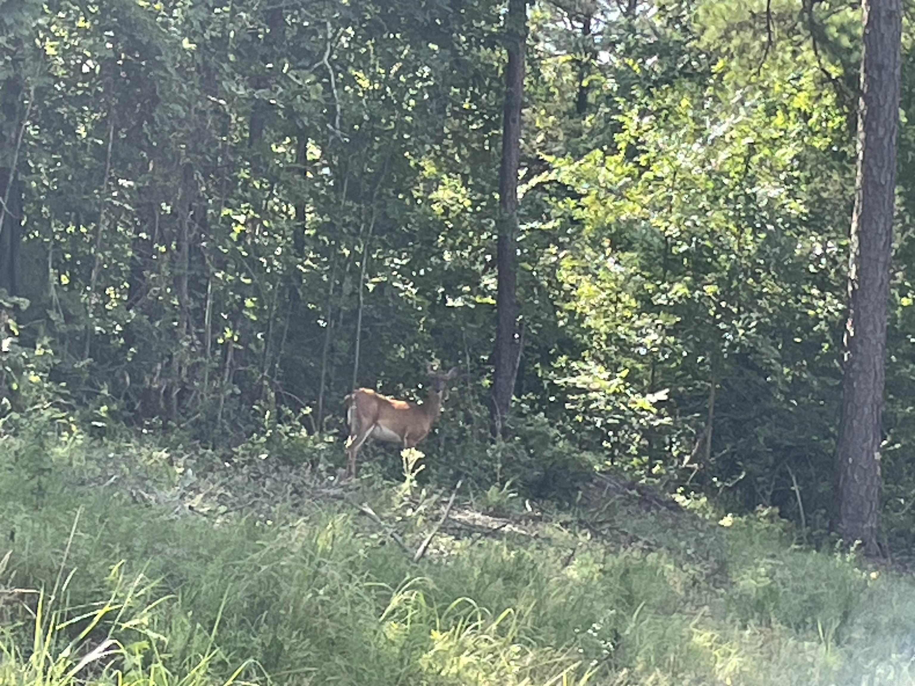  Stowe  Heber Springs, AR