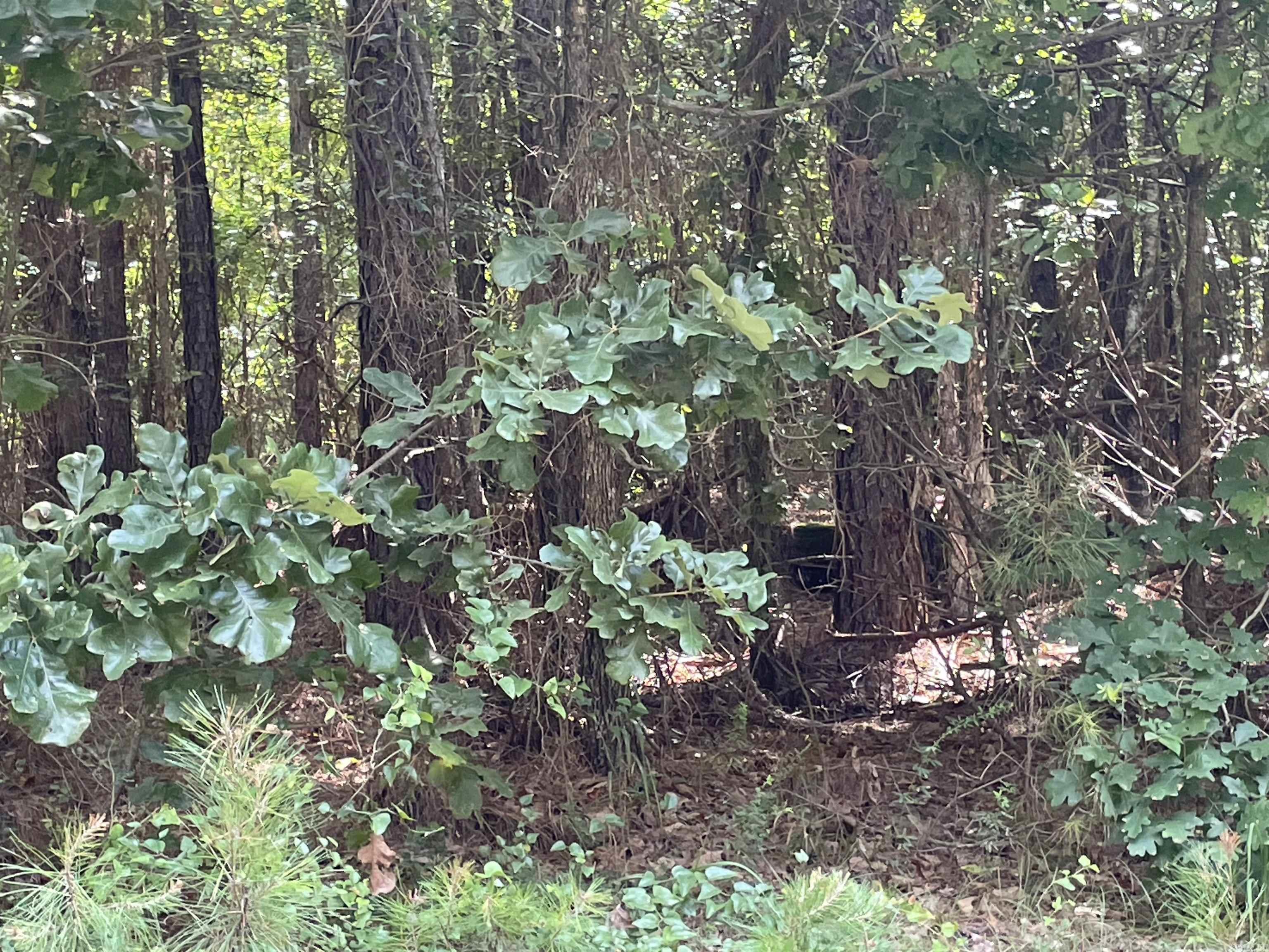  Stowe  Heber Springs, AR