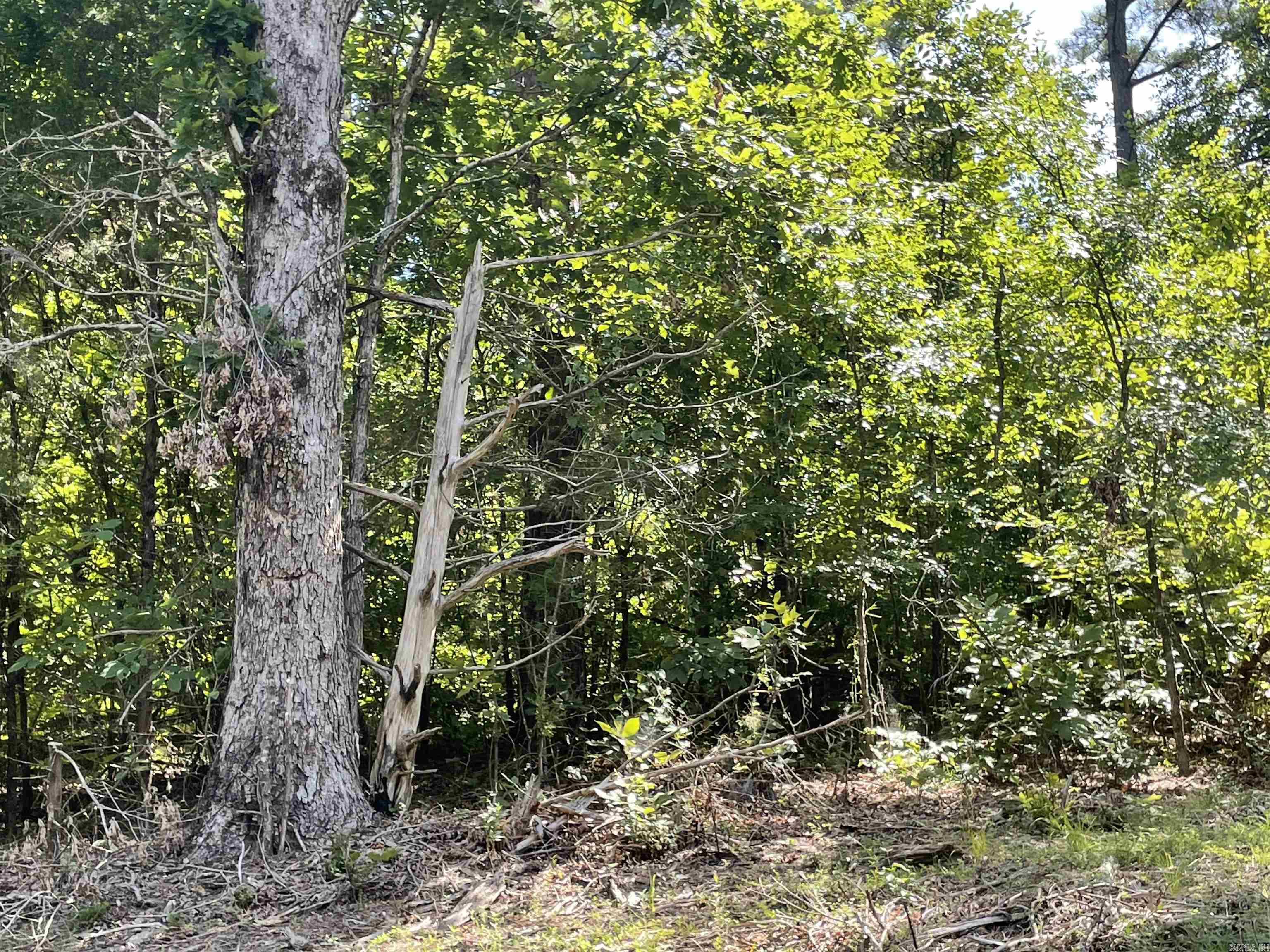  Stowe  Heber Springs, AR