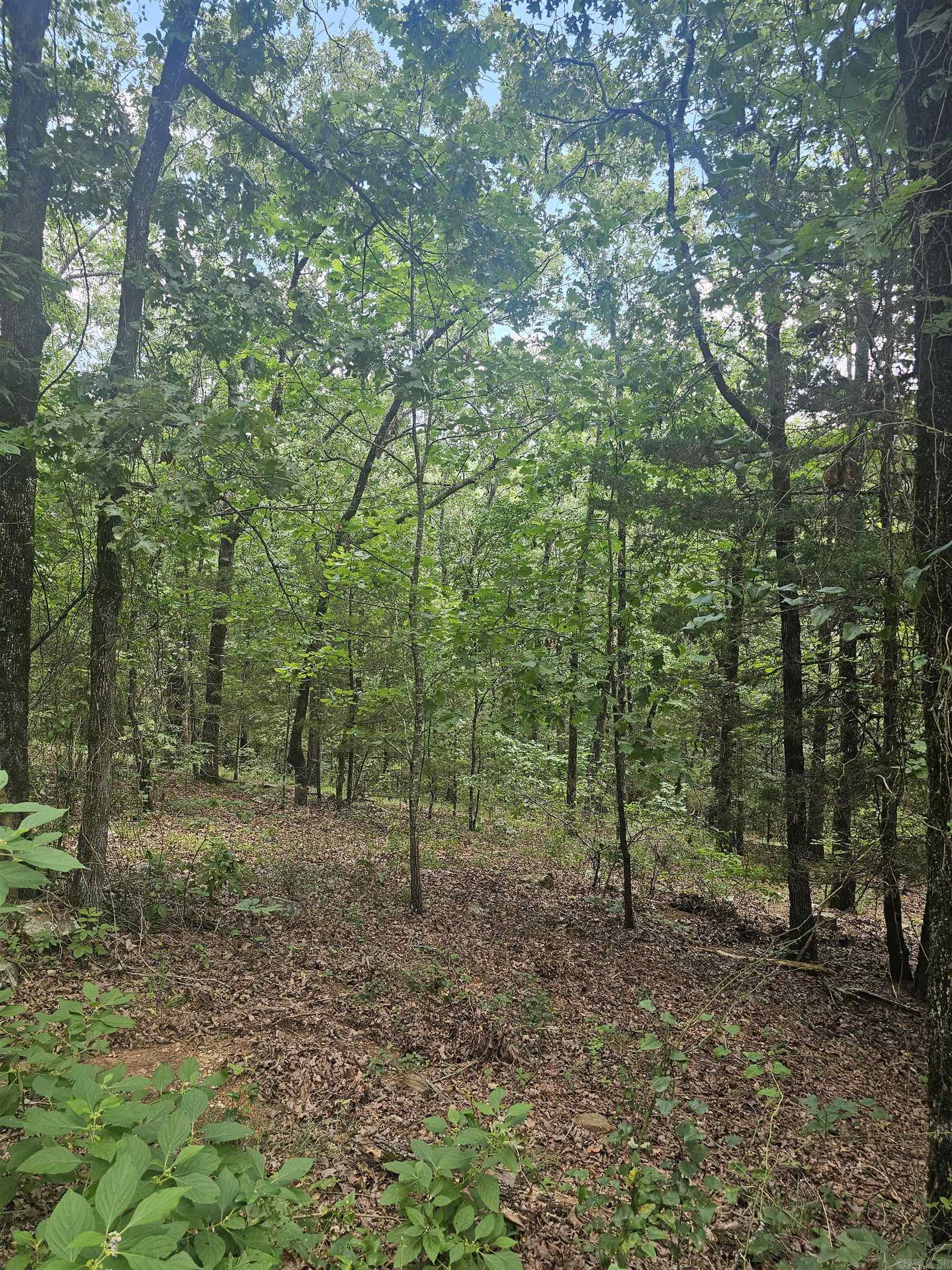 308 W Fifth  Perry, AR