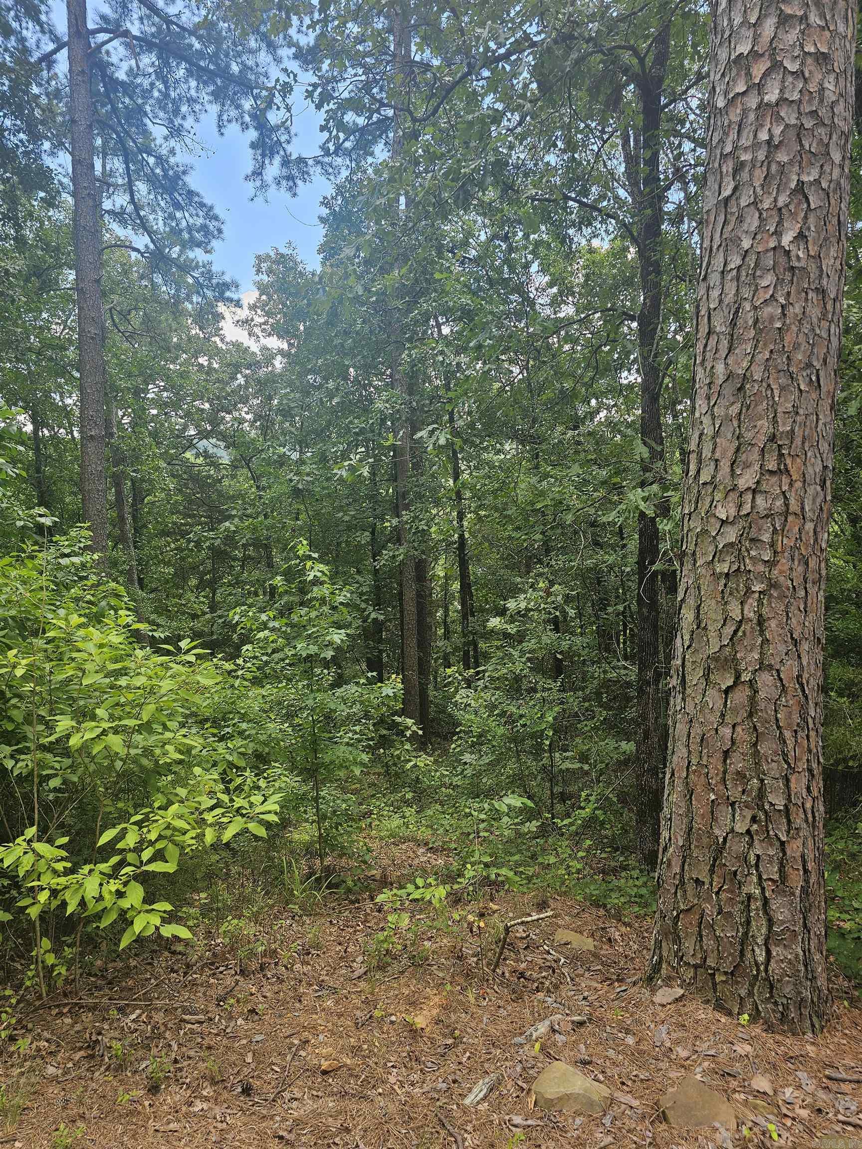 308 W Fifth  Perry, AR