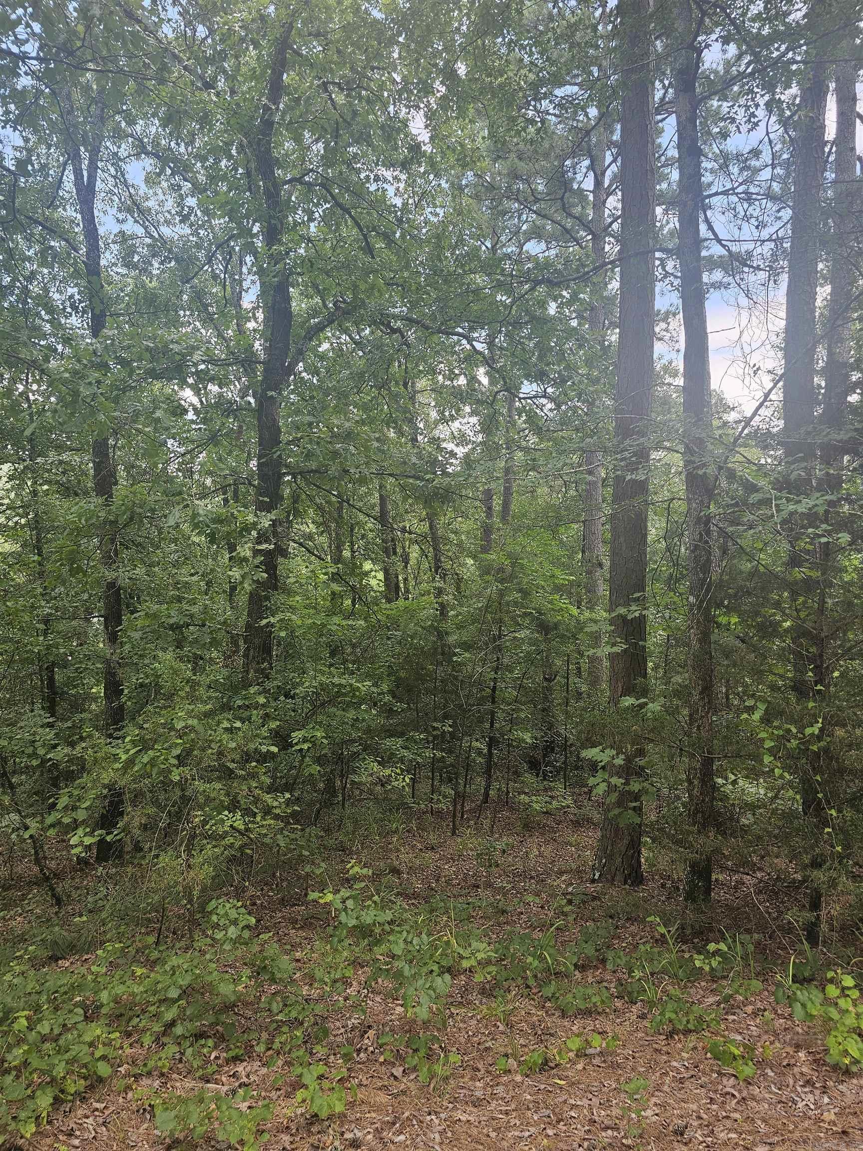 308 W Fifth  Perry, AR