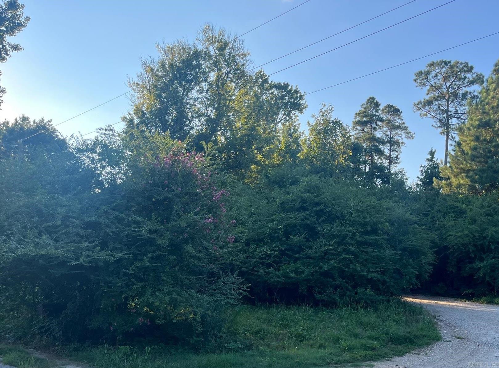 20 Acres Perry  Bauxite, AR