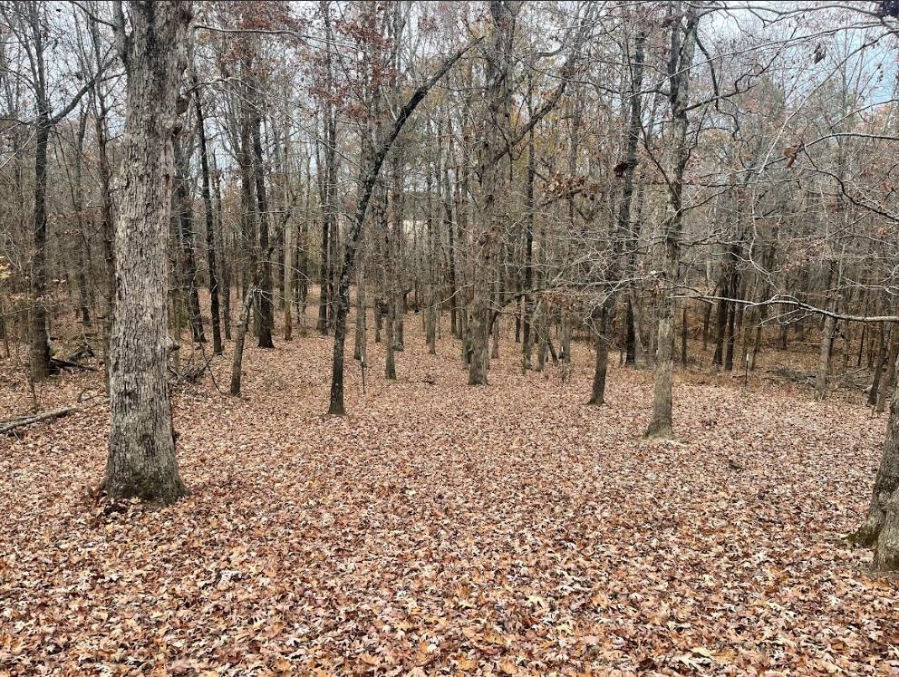 143 Greene Road 610  Beech Grove, AR