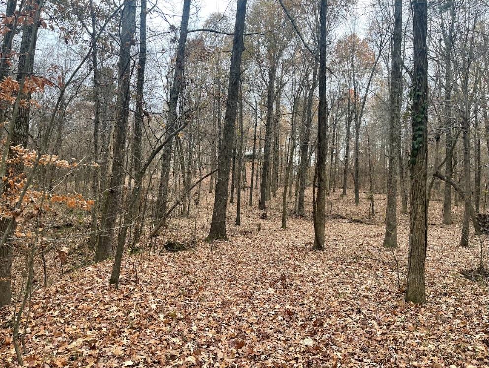 143 Greene Road 610  Beech Grove, AR