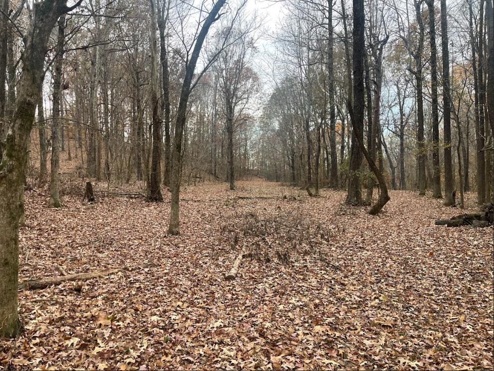143 Greene Road 610  Beech Grove, AR