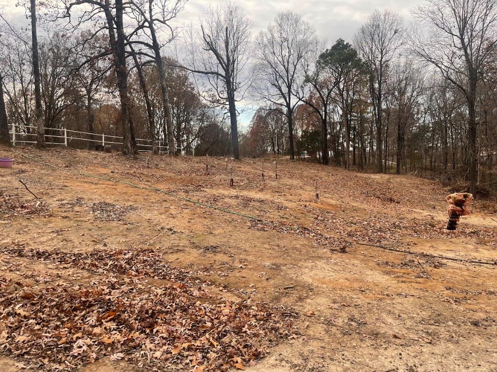 143 Greene Road 610  Beech Grove, AR