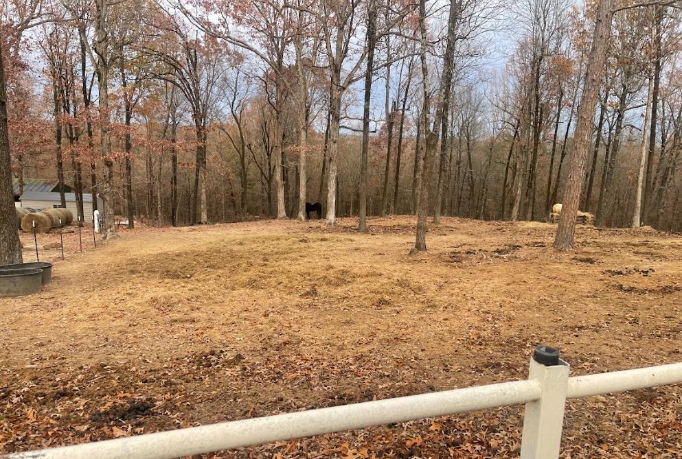 143 Greene Road 610  Beech Grove, AR