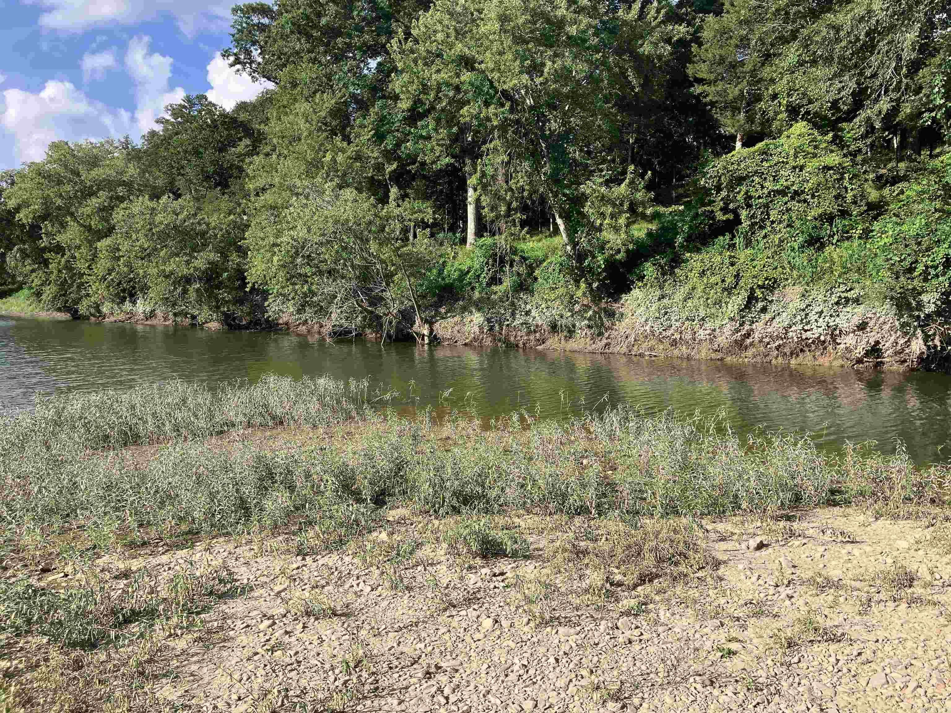 89 Riverfront Drive Pencil Bluff, AR 71965