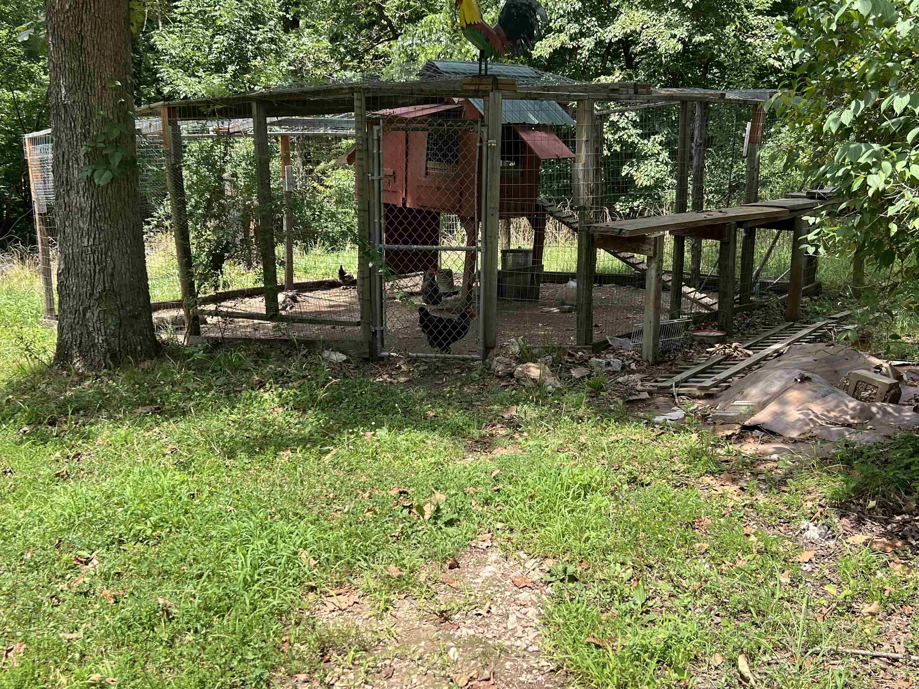 1103 Riverview Drive  Mammoth Spring, AR