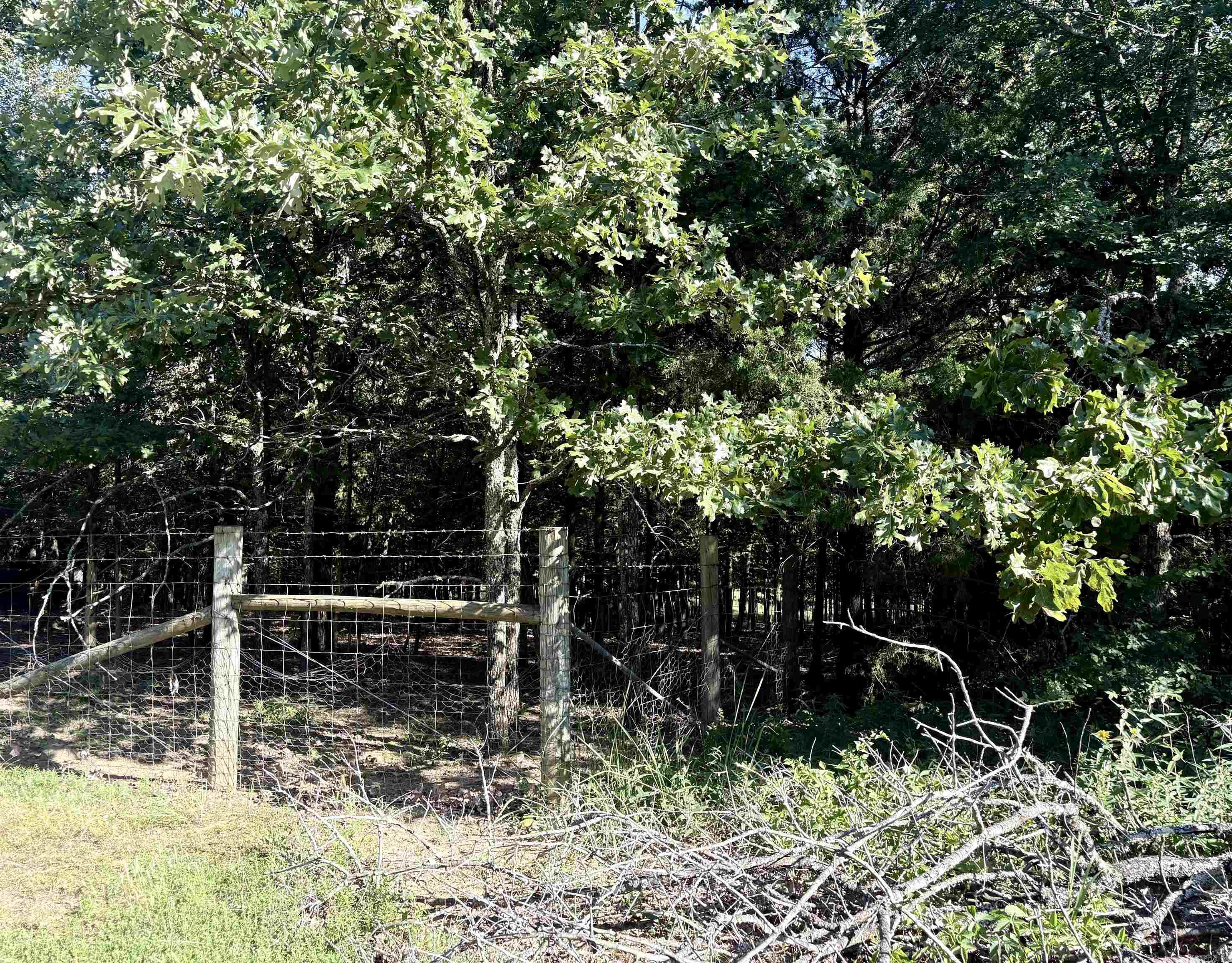 231 Billy Goat Mountain  Vilonia, AR