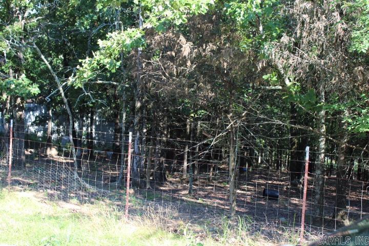 231 Billy Goat Mountain  Vilonia, AR