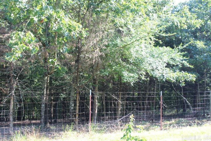 231 Billy Goat Mountain  Vilonia, AR