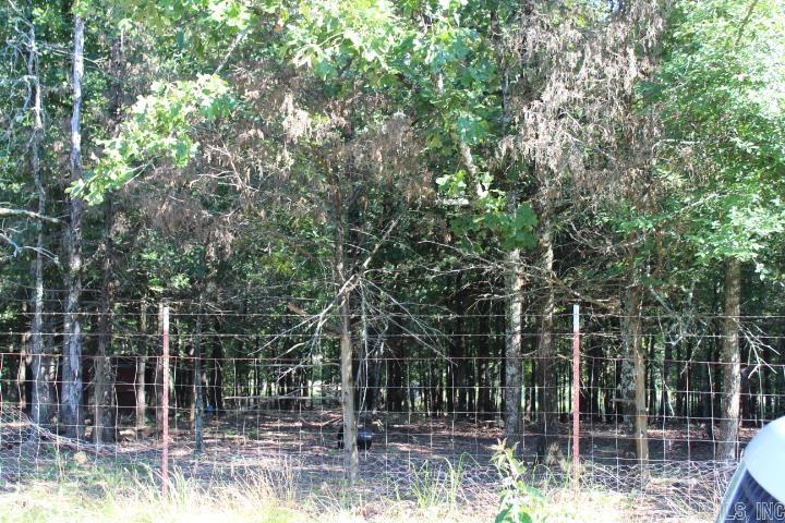 231 Billy Goat Mountain  Vilonia, AR