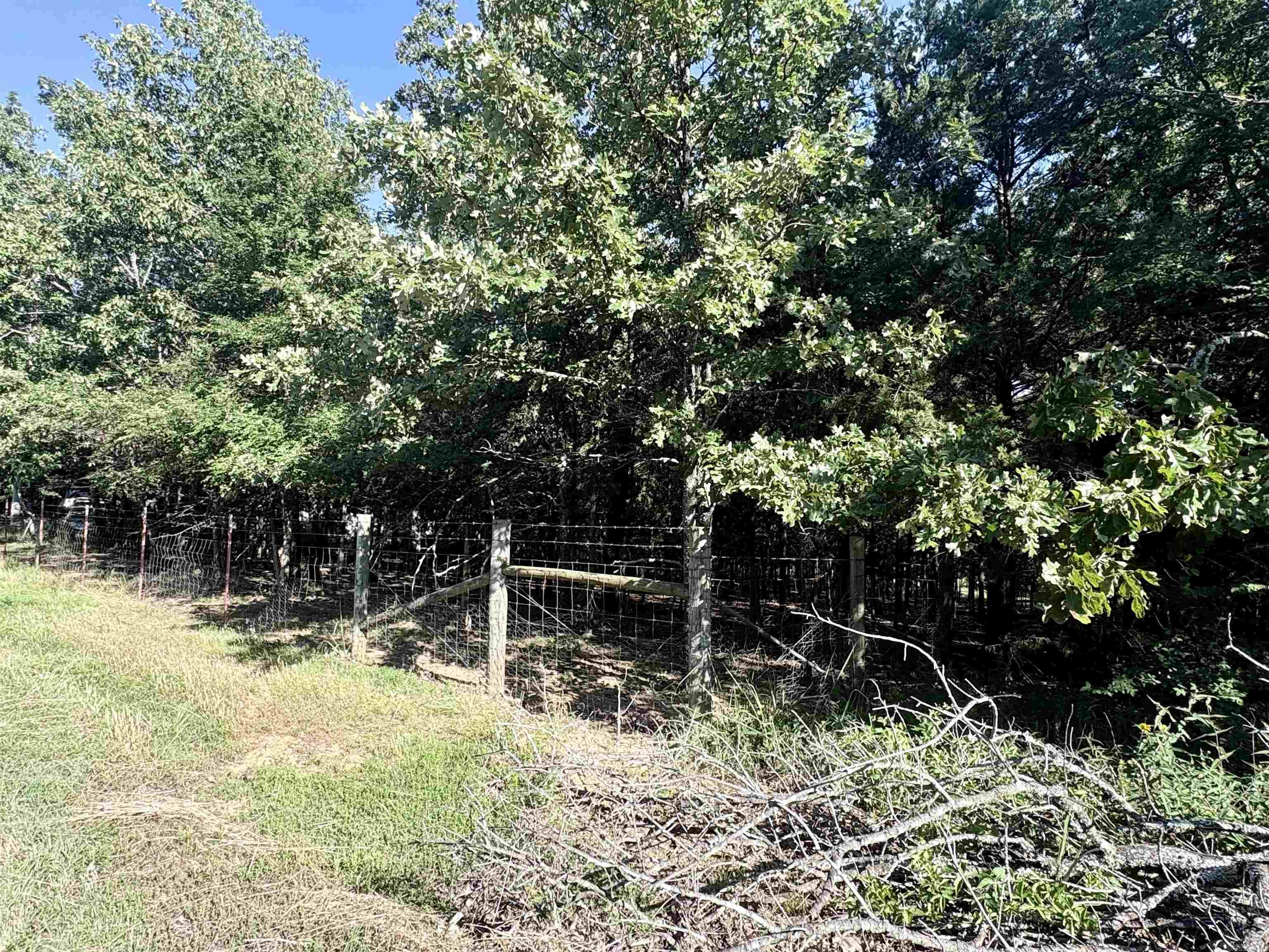 231 Billy Goat Mountain  Vilonia, AR