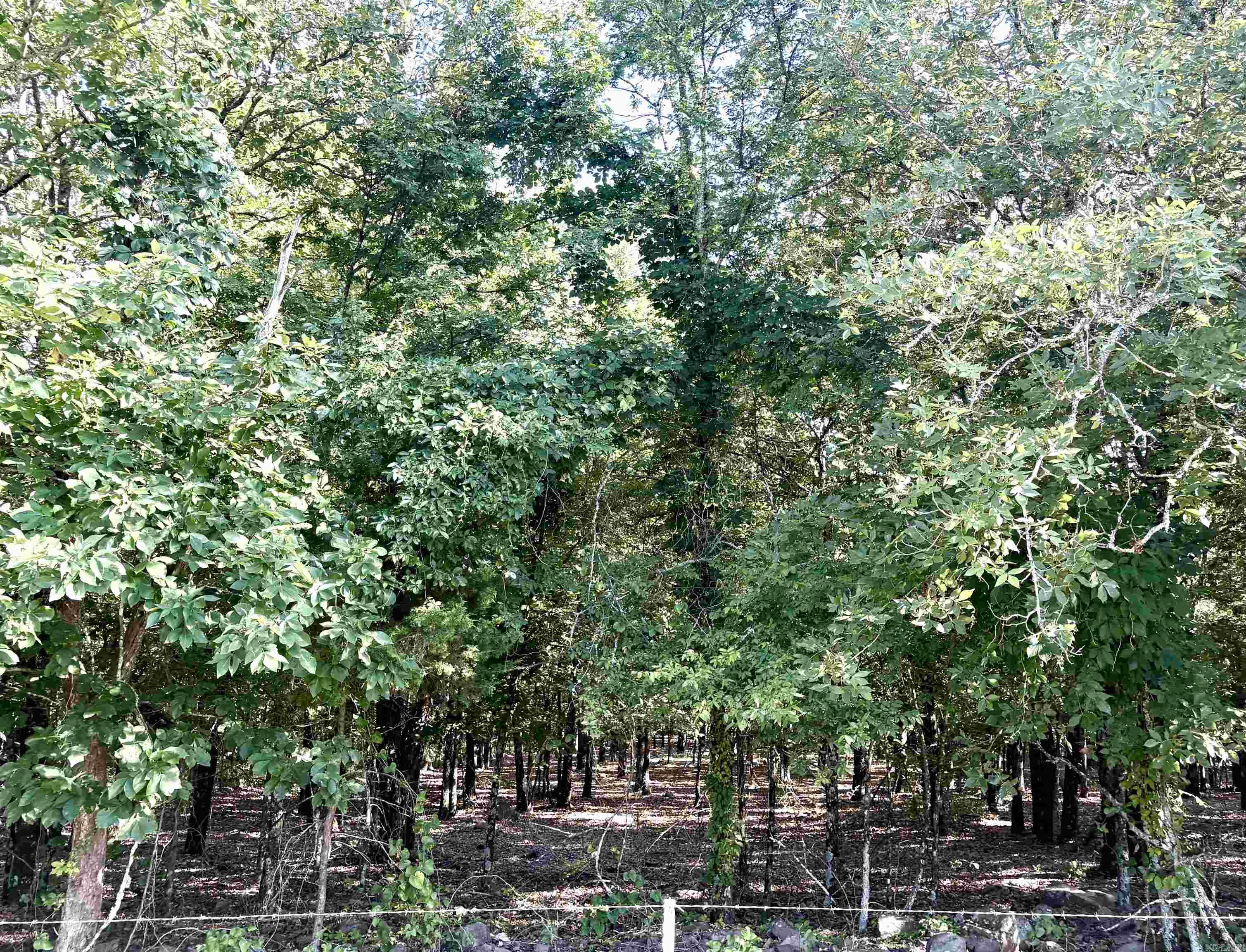 231 Billy Goat Mountain  Vilonia, AR
