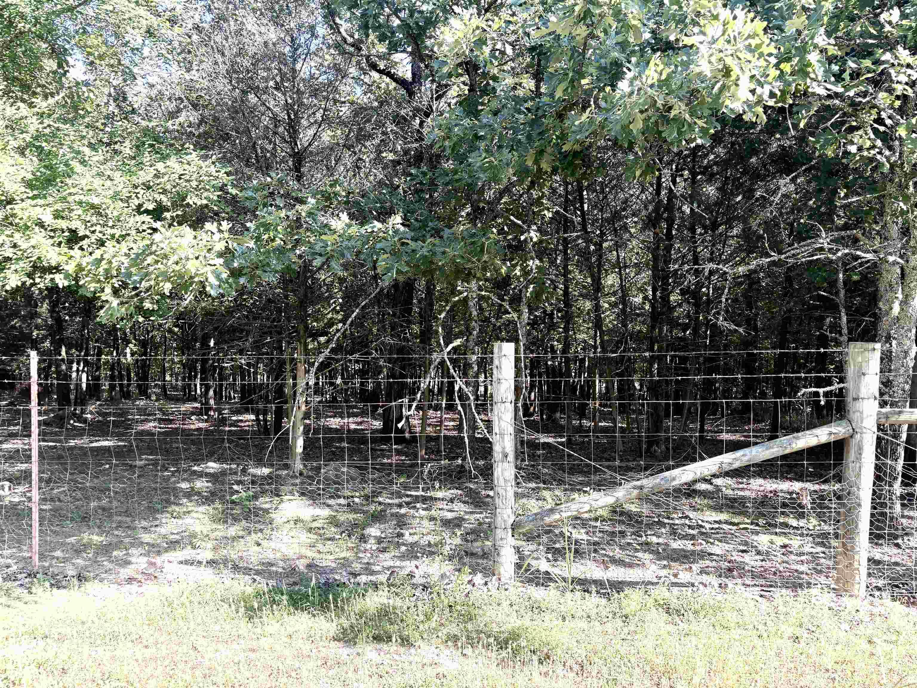 231 Billy Goat Mountain  Vilonia, AR