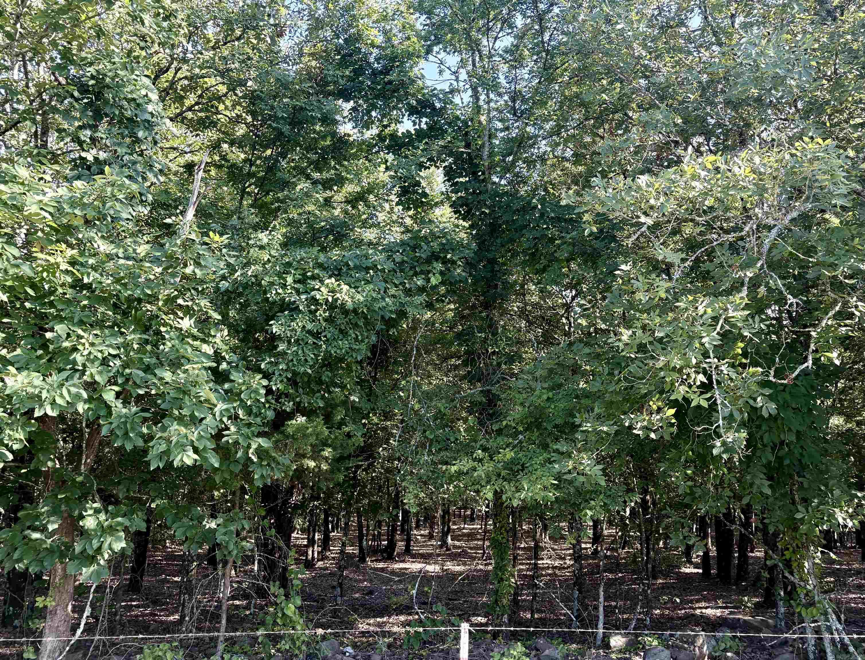 231 Billy Goat Mountain  Vilonia, AR