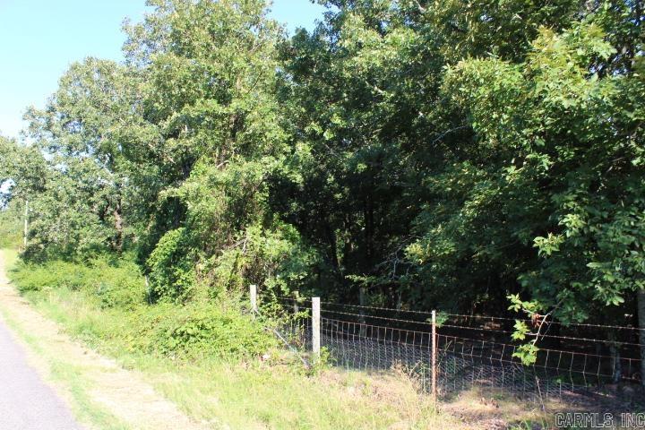 231 Billy Goat Mountain  Vilonia, AR