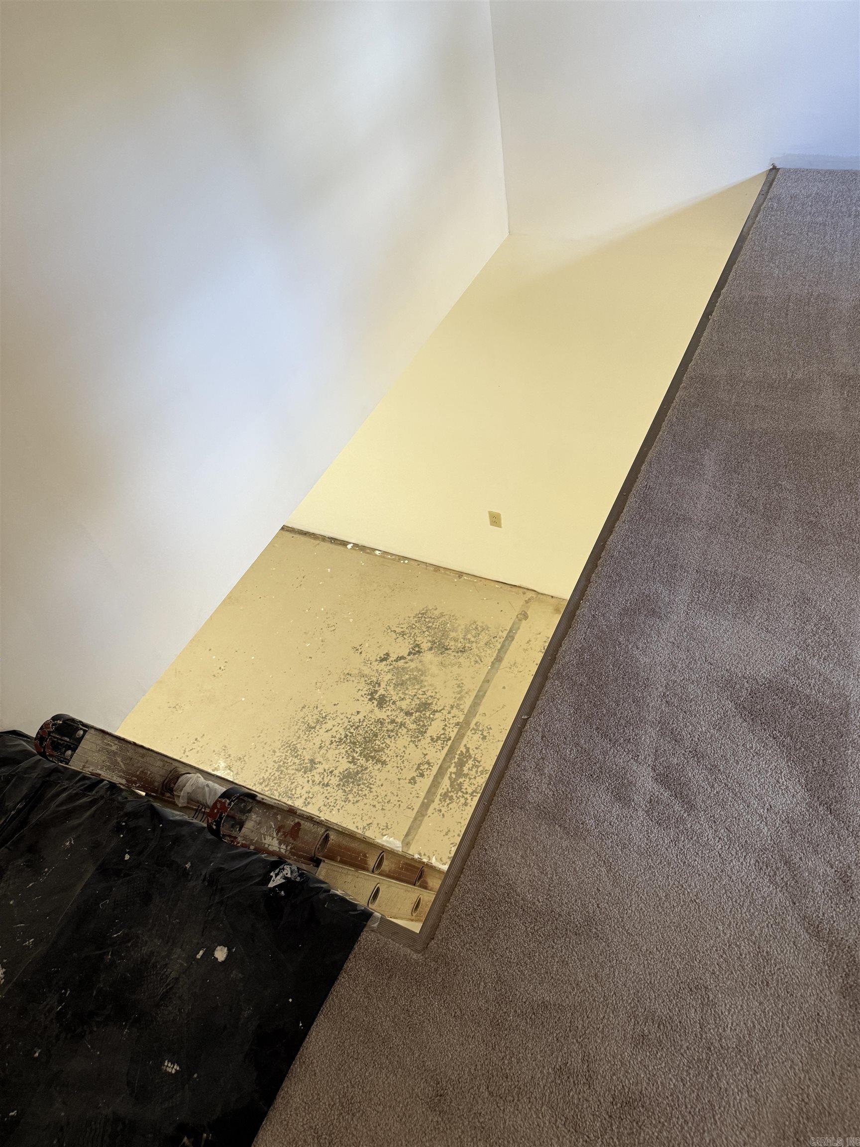 299 County Road 3587  Clarksville, AR