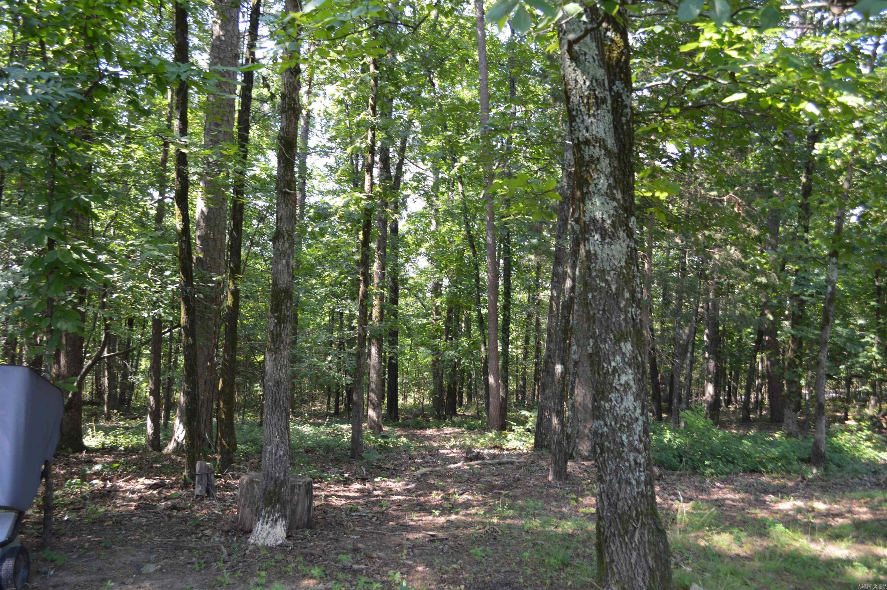 Lot 12 Timberline  Heber Springs, AR