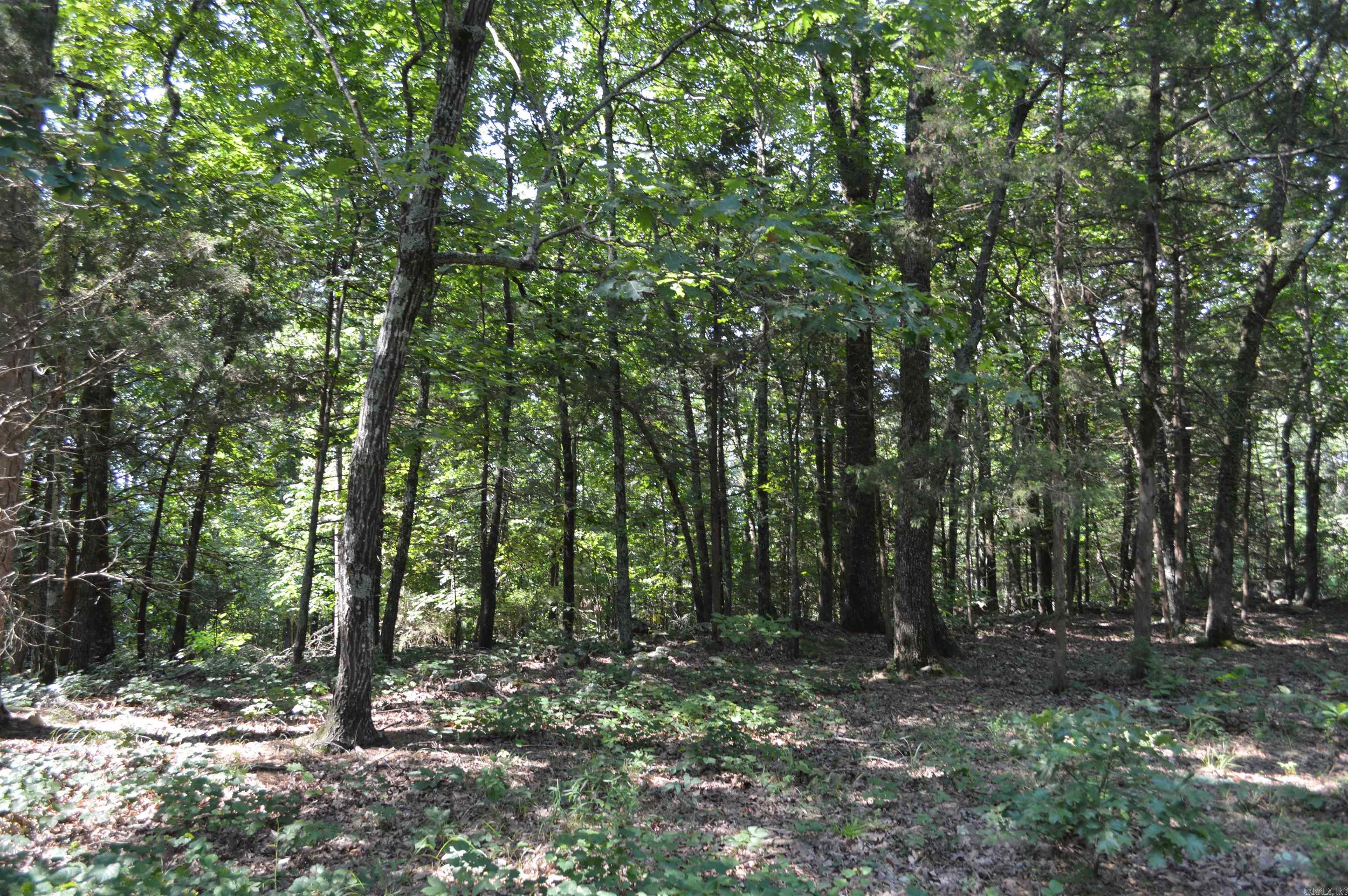 Lot 12 Timberline  Heber Springs, AR