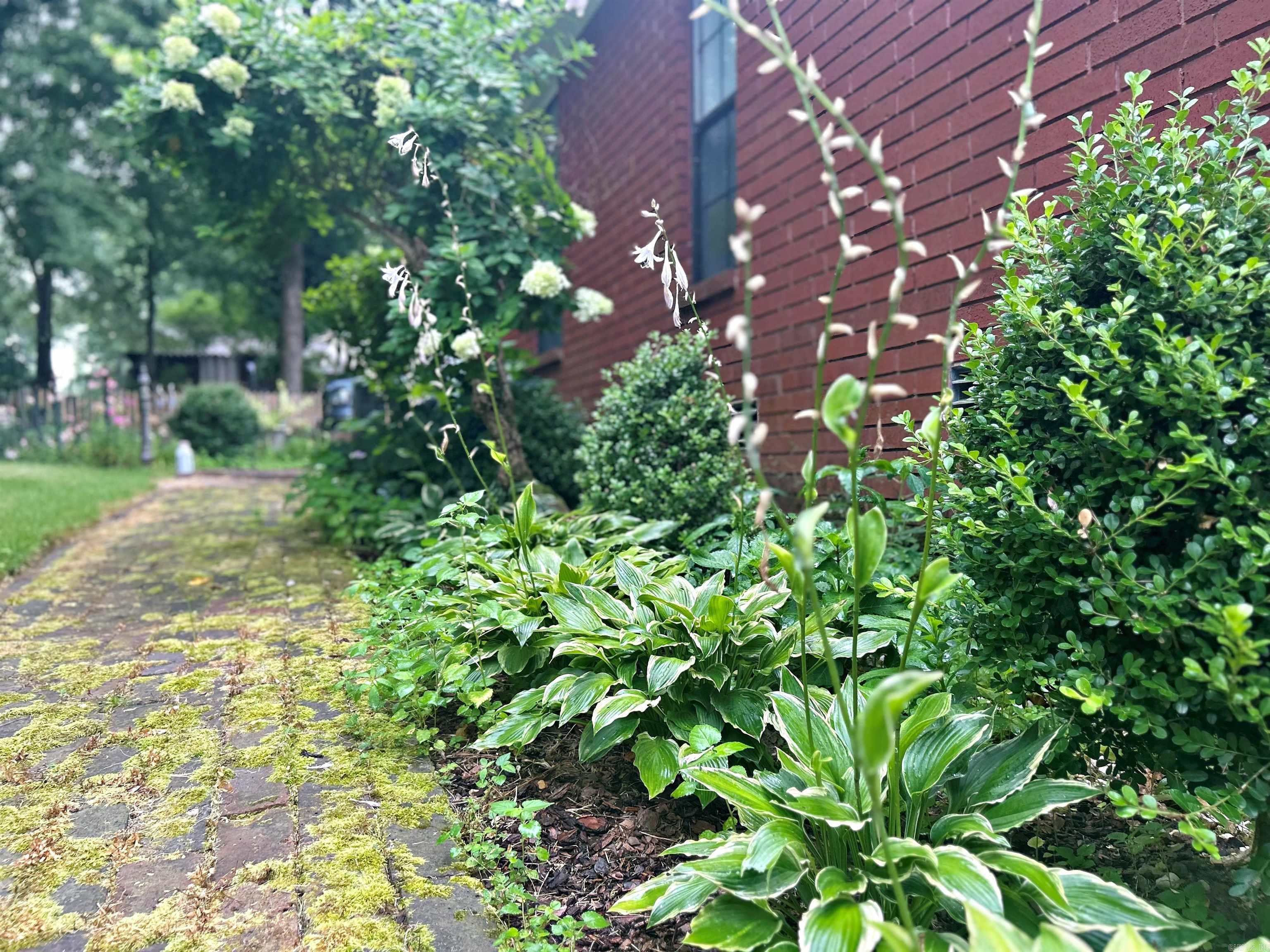 108 Magnolia  Arkadelphia, AR