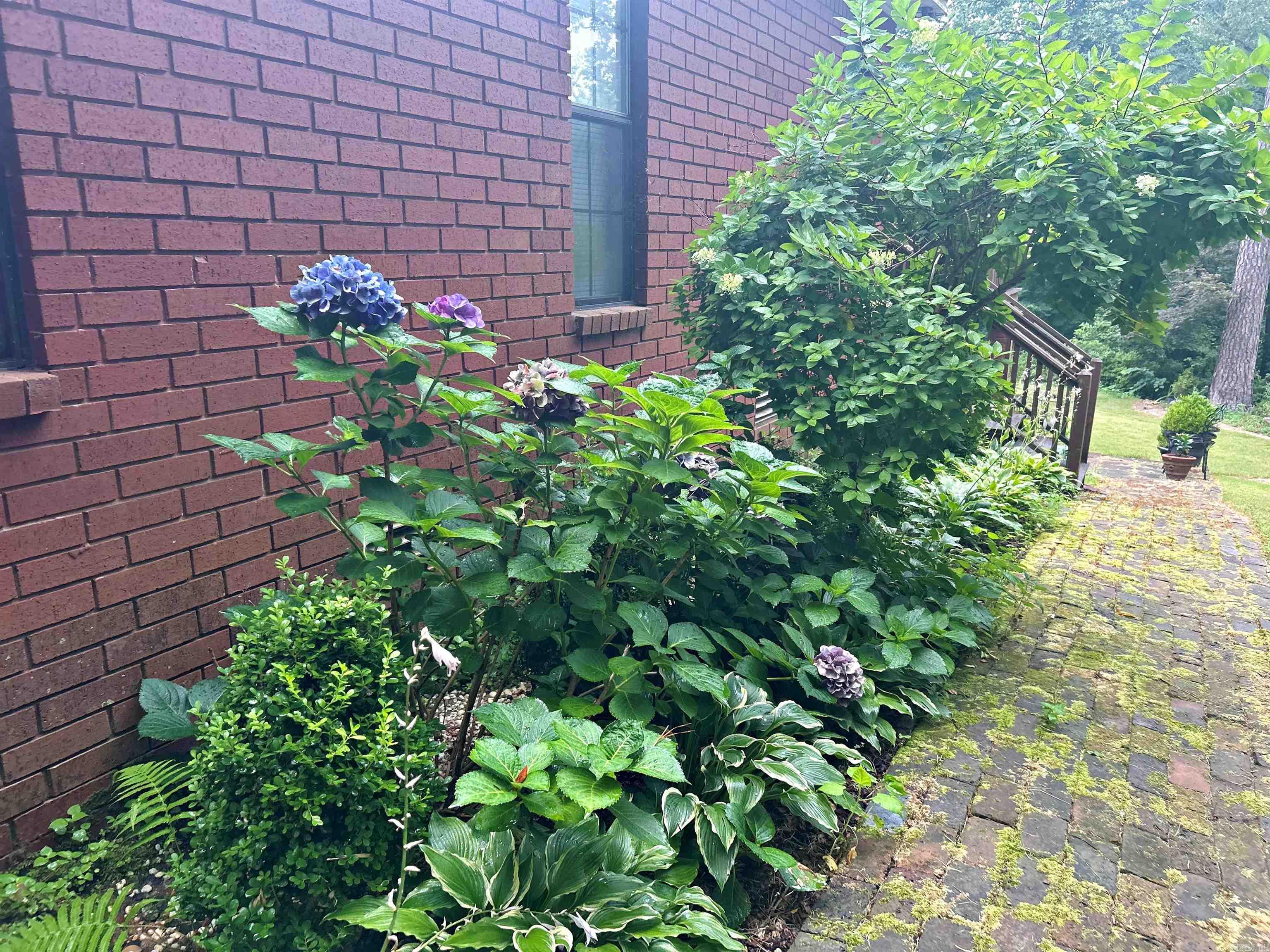 108 Magnolia  Arkadelphia, AR