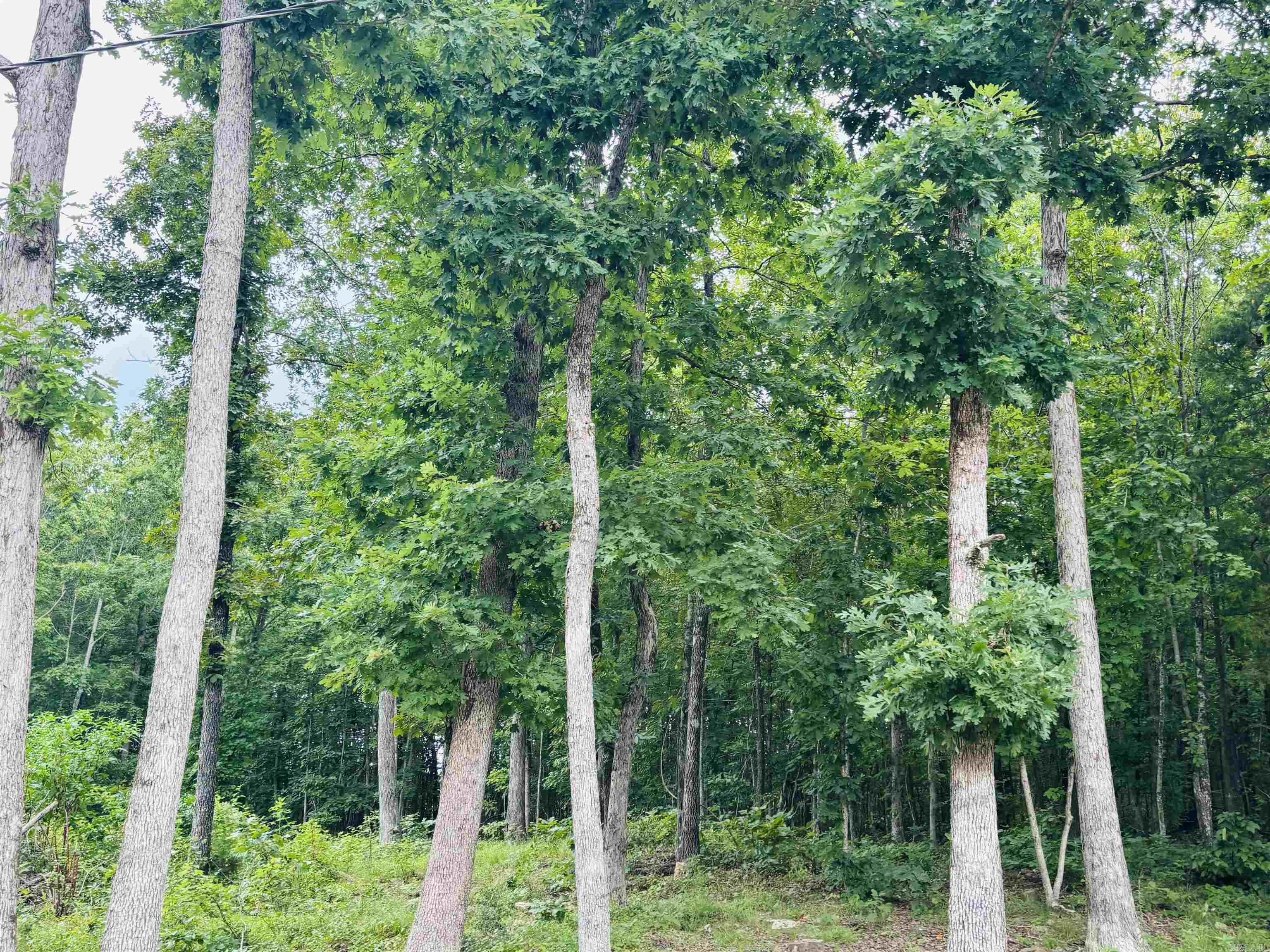 1472 Petters Road Mountain View, AR 72560
