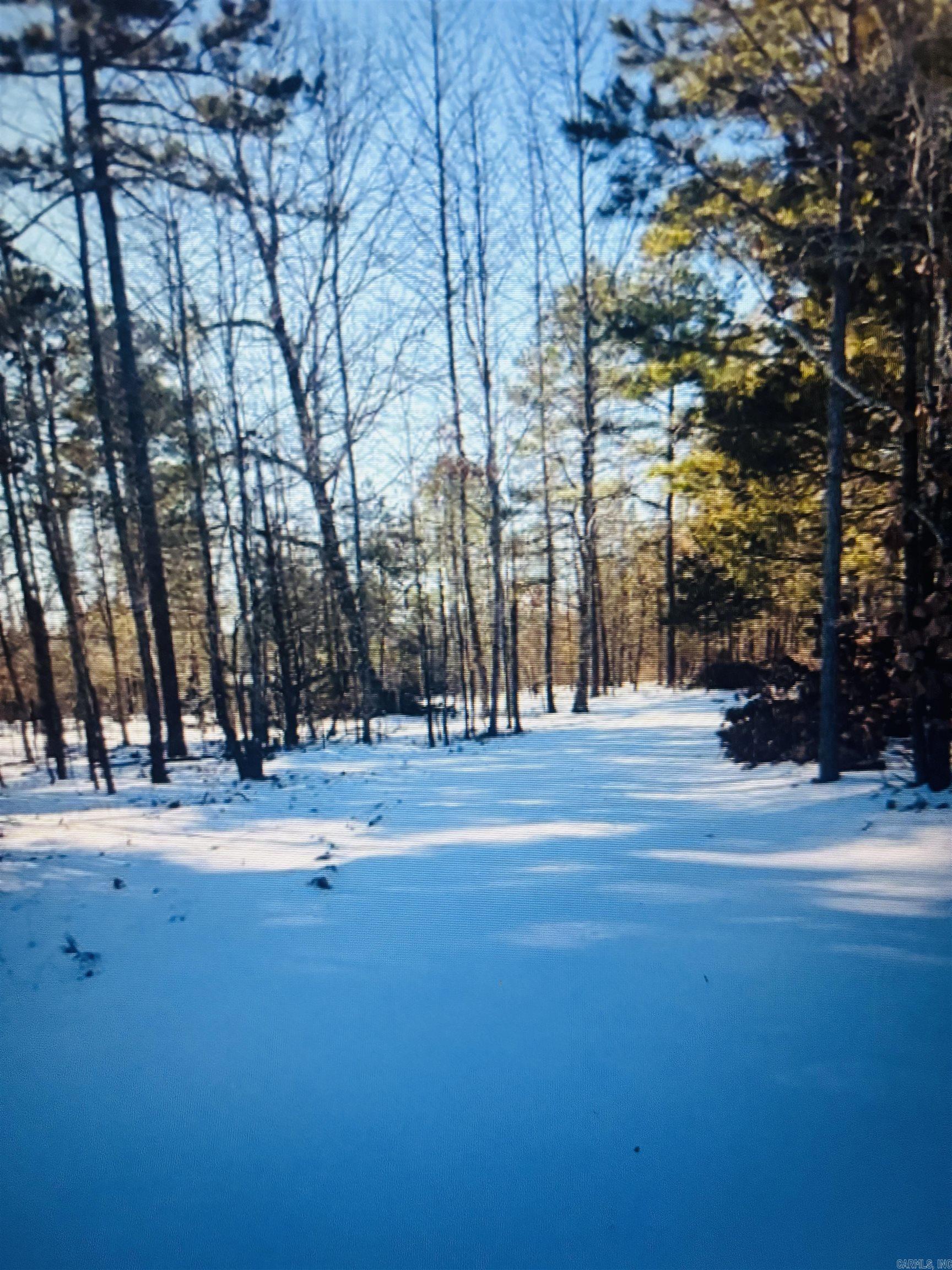 1472 Petters Road Mountain View, AR 72560