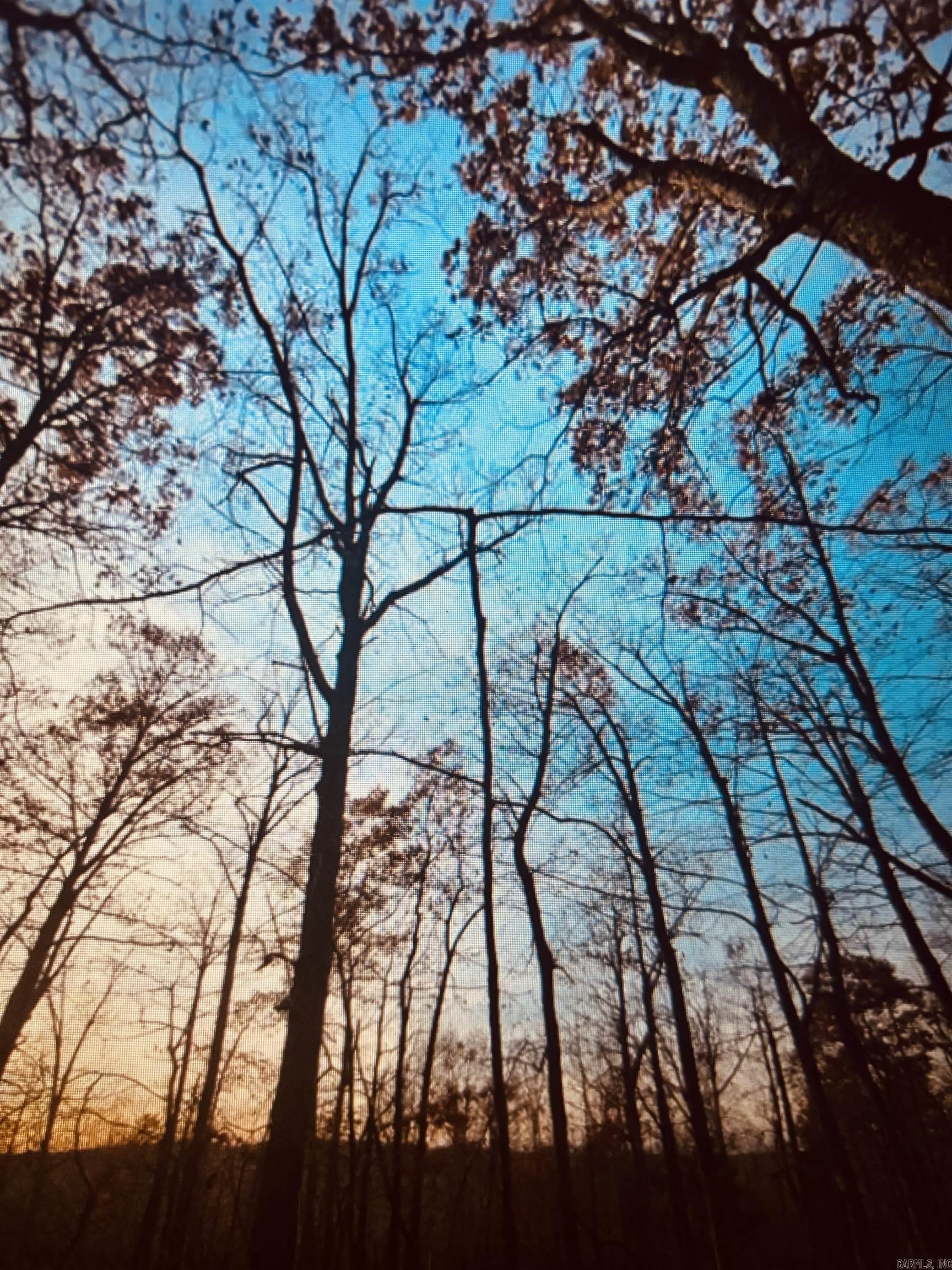 1472 Petters Road Mountain View, AR 72560