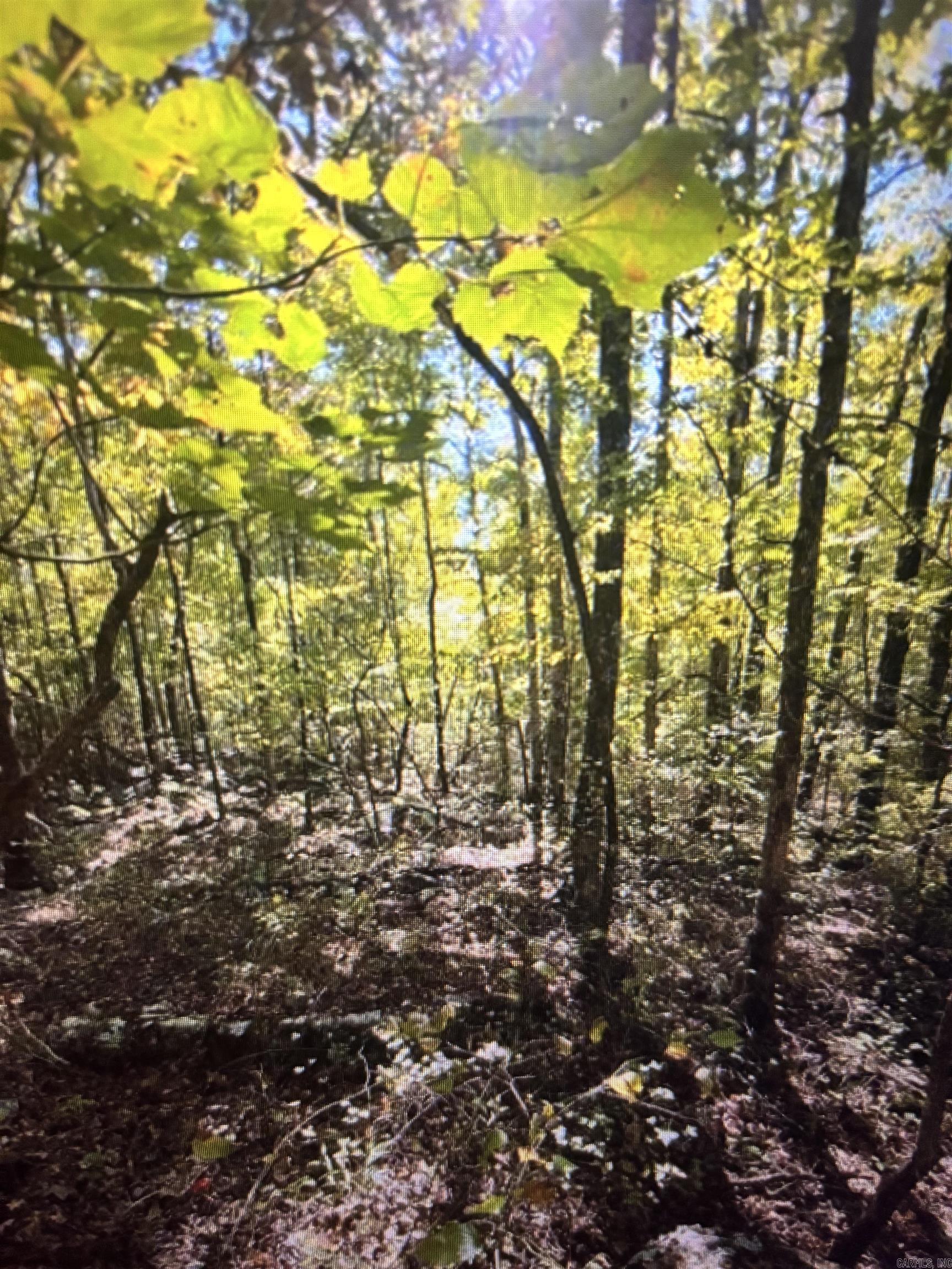 1472 Petters Road Mountain View, AR 72560