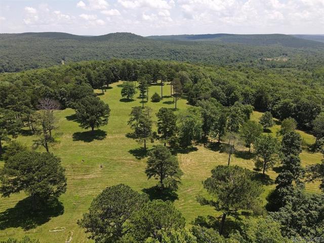 2258  Racket Ridge  Mountain View, AR