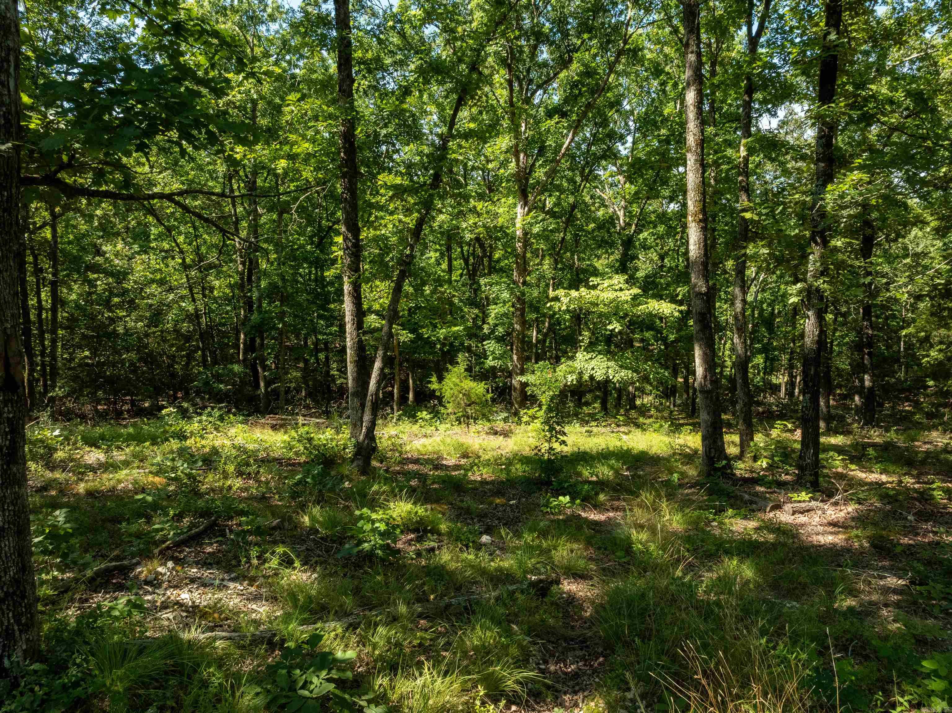 306 N Rainey  Cave City, AR