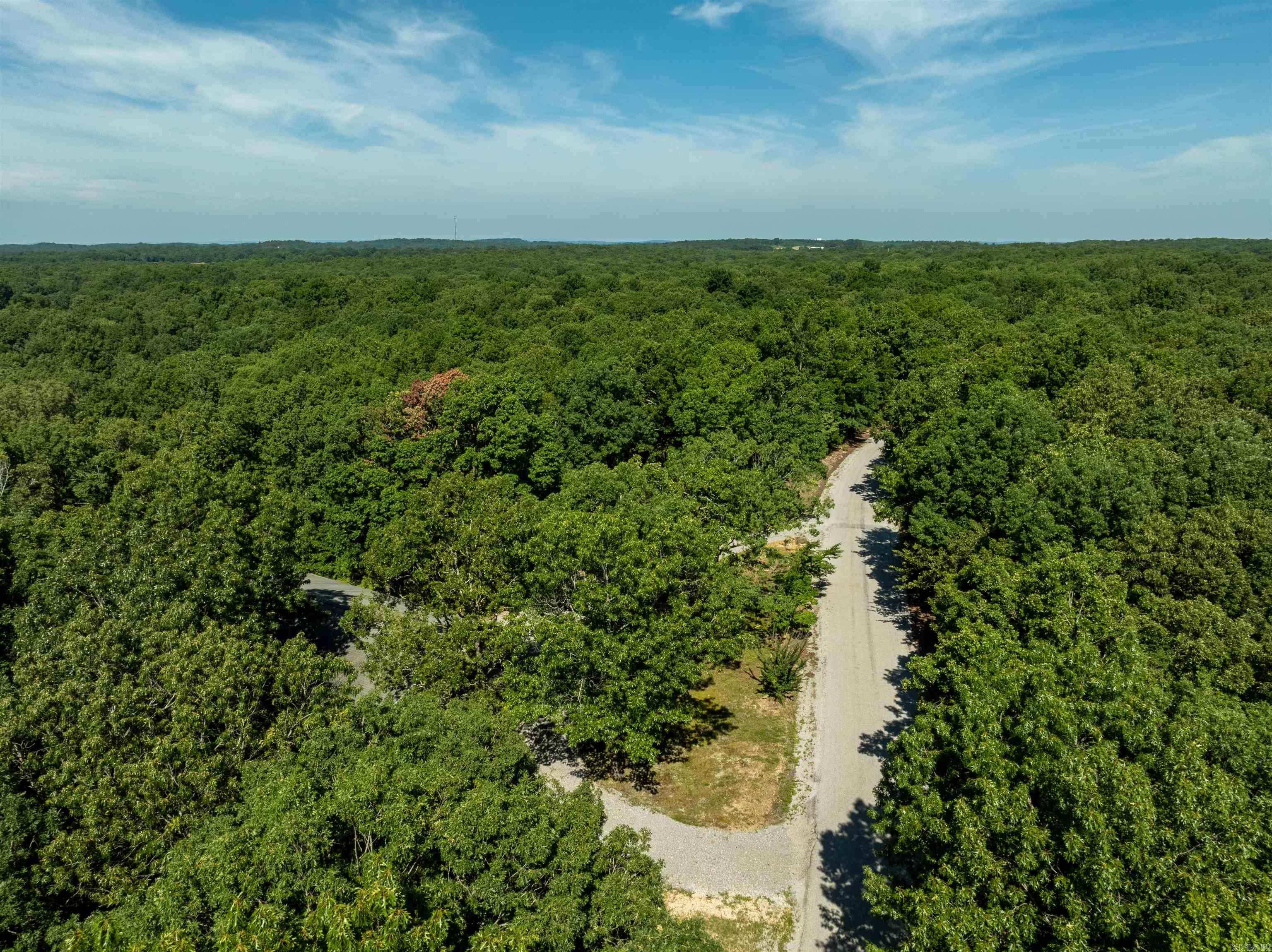 306 N Rainey  Cave City, AR
