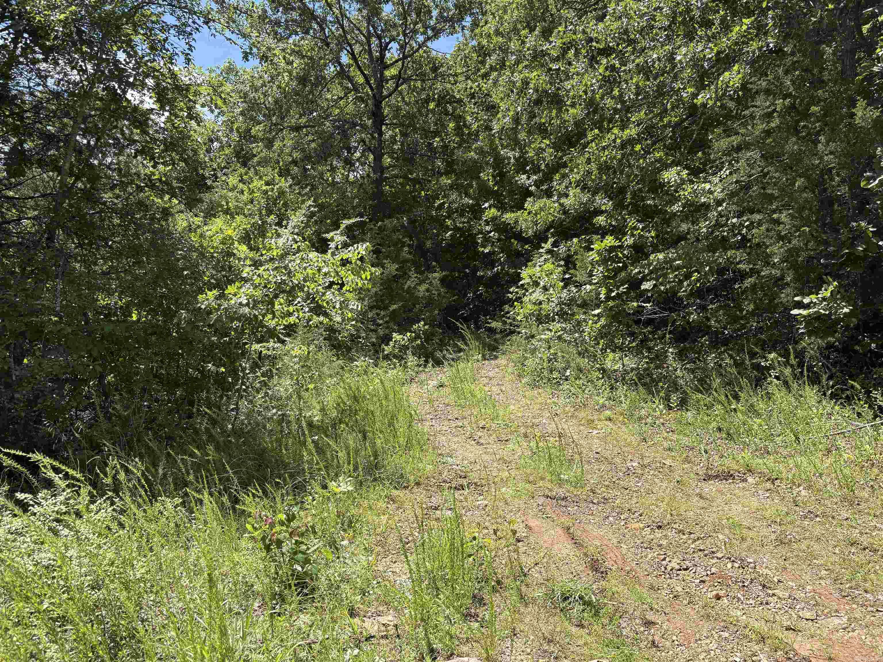 780-01045-000 Saint Clair  Pyatt, AR