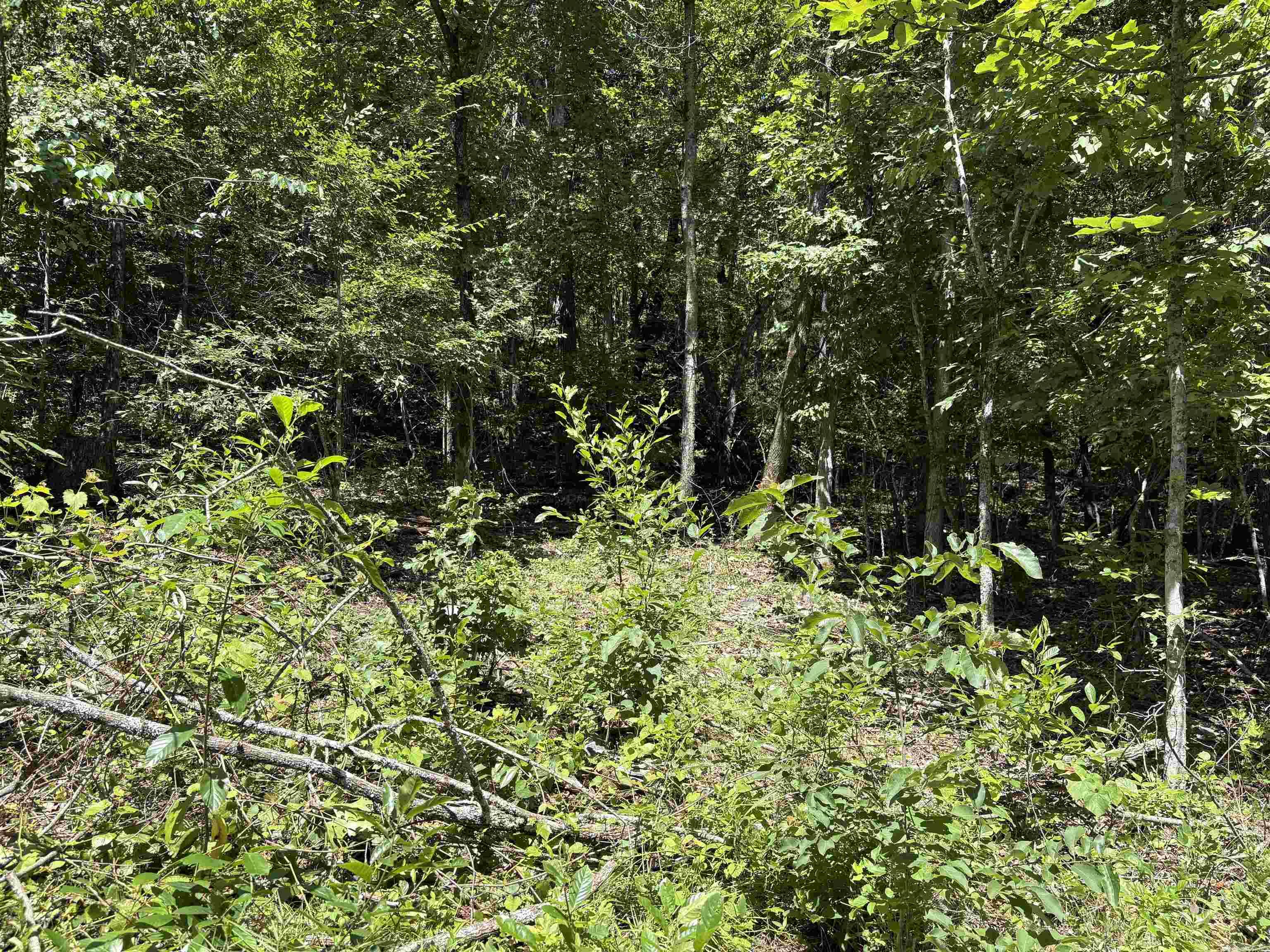 780-01045-000 Saint Clair  Pyatt, AR