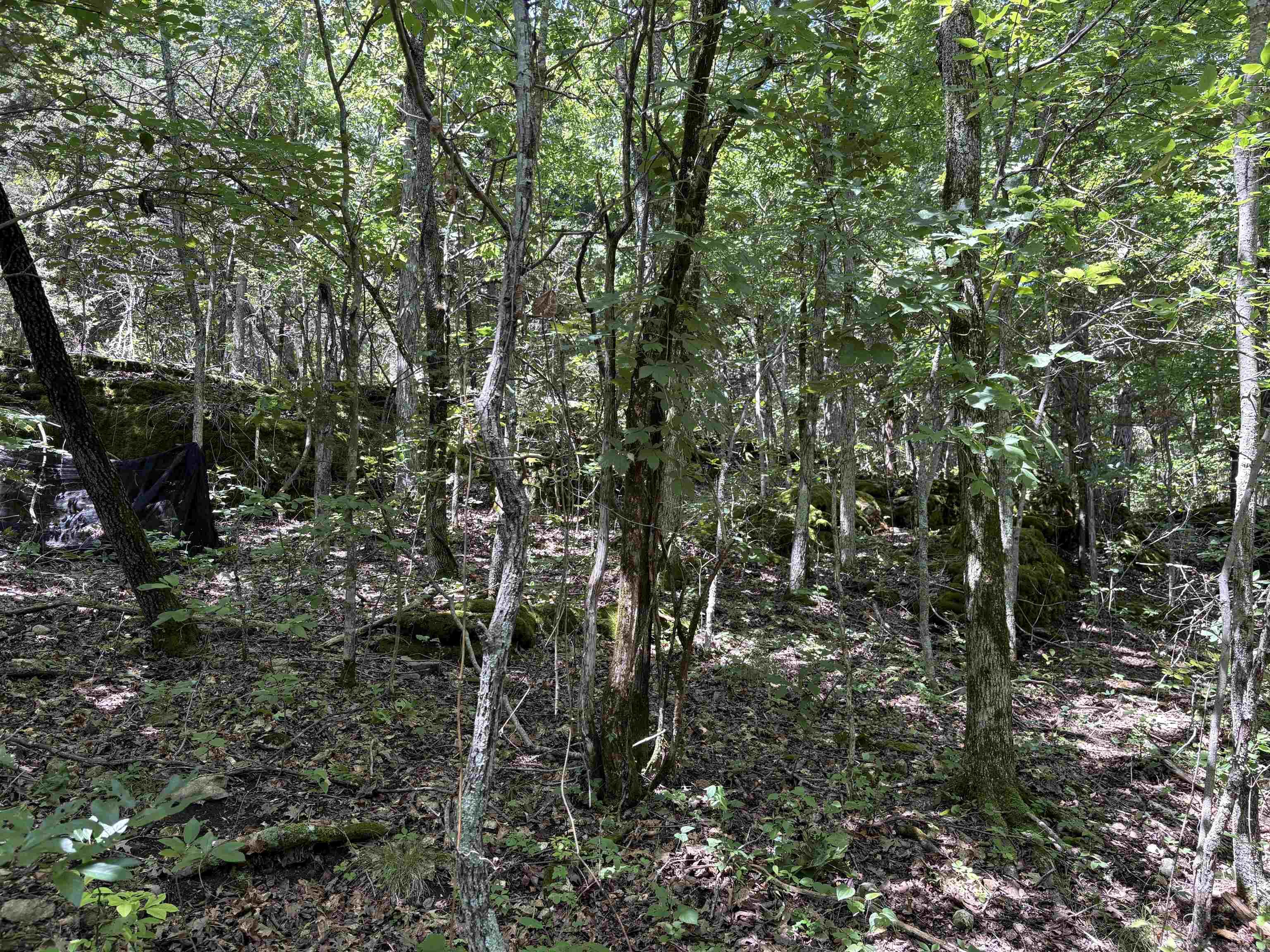780-01045-000 Saint Clair  Pyatt, AR