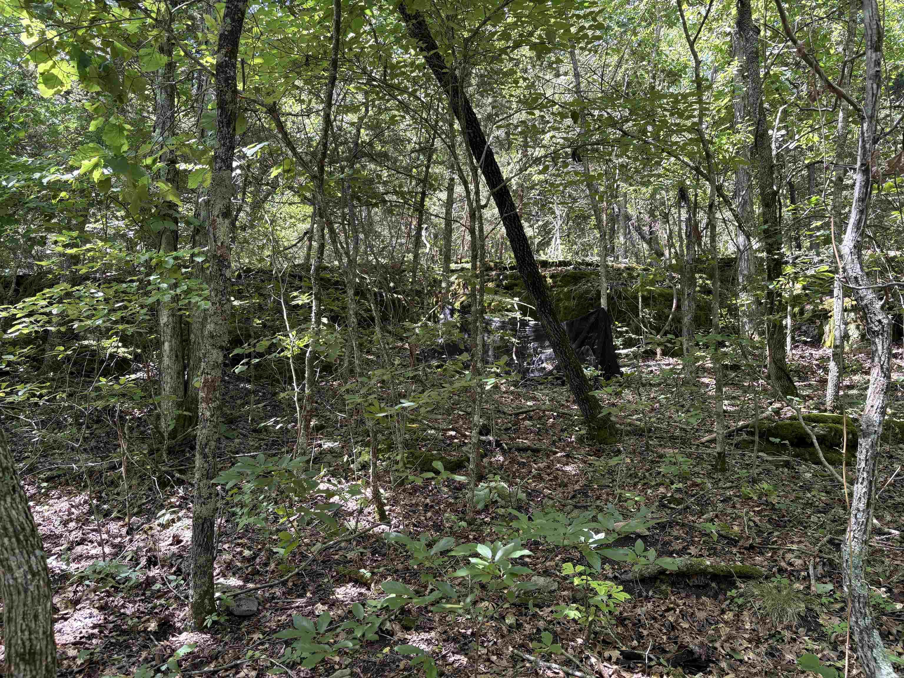 780-01045-000 Saint Clair  Pyatt, AR