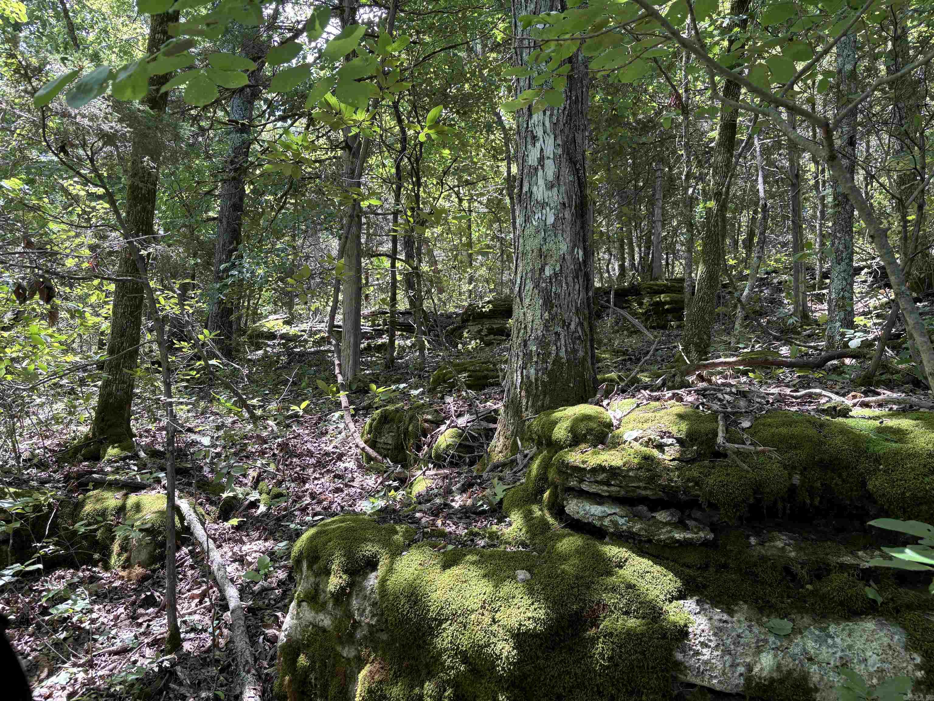780-01045-000 Saint Clair  Pyatt, AR