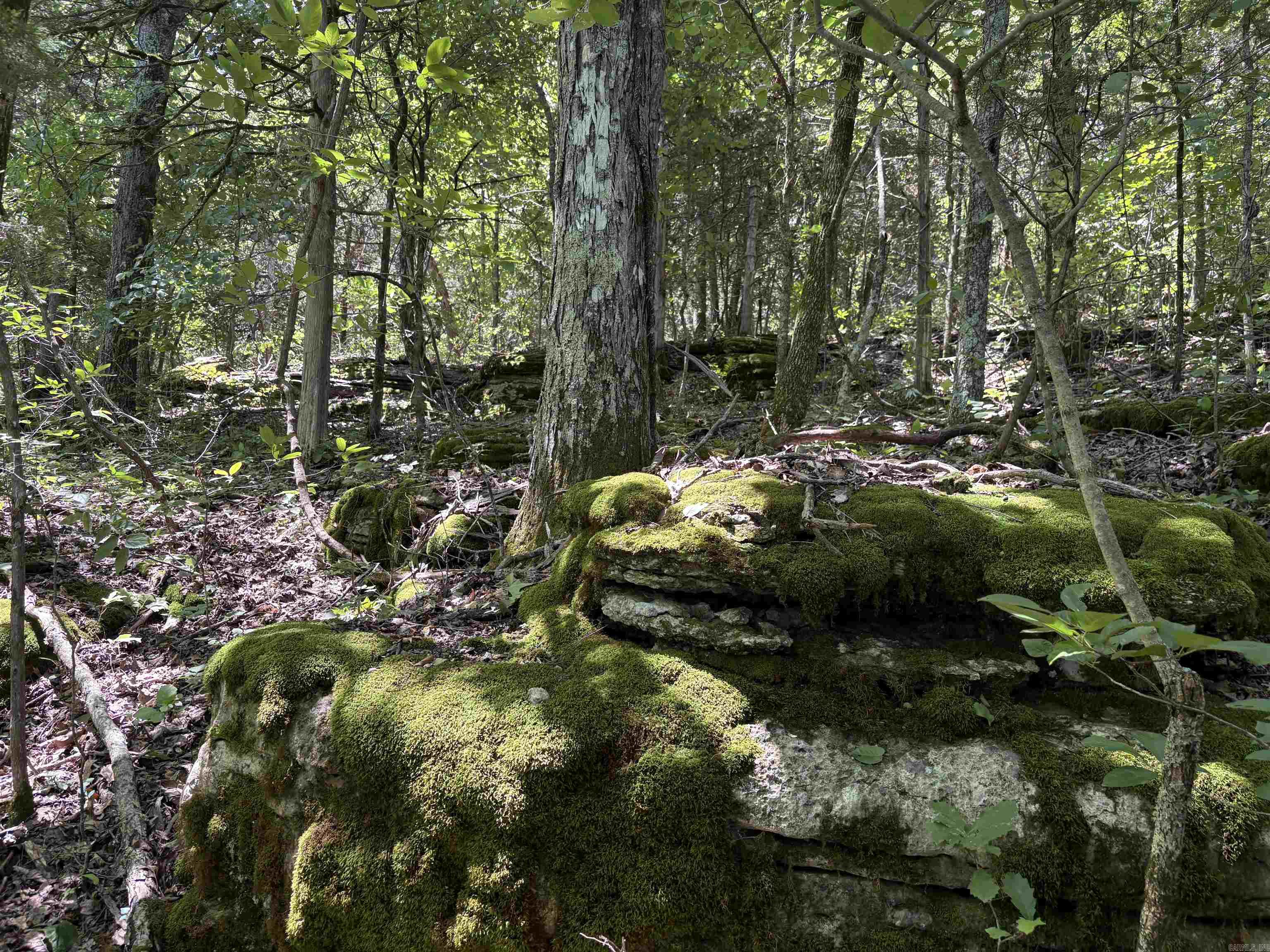 780-01045-000 Saint Clair  Pyatt, AR